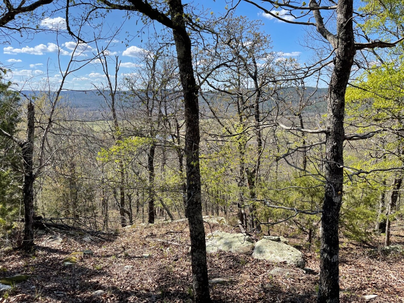 Land for Sale in Pushmataha County, OK (91 of 100)