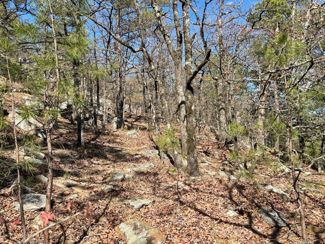 Land for Sale in Pushmataha County, OK (93 of 100)