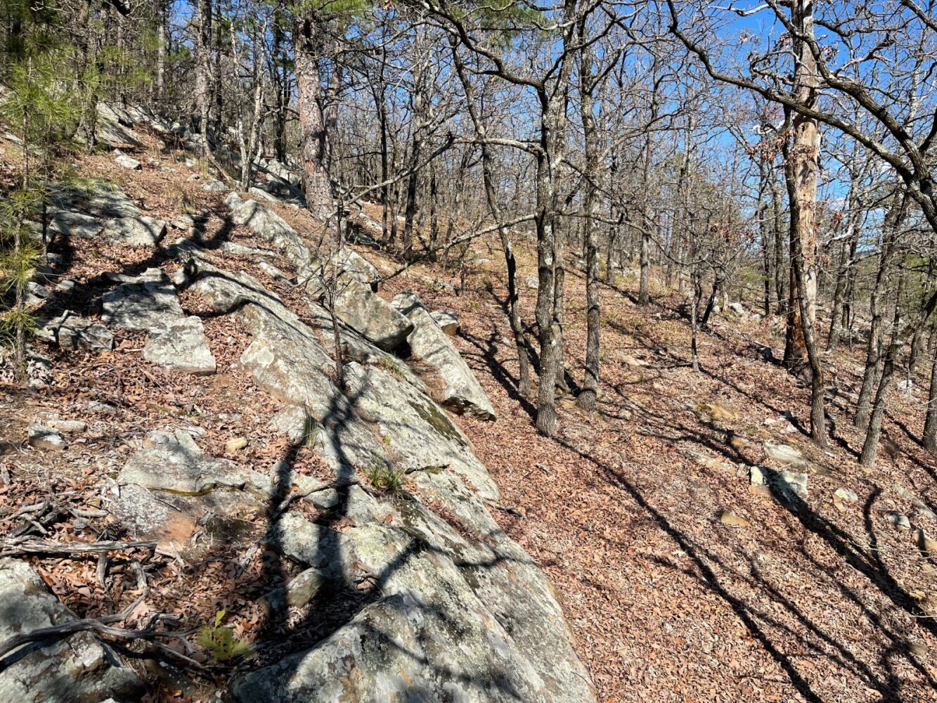 Land for Sale in Pushmataha County, OK (94 of 100)