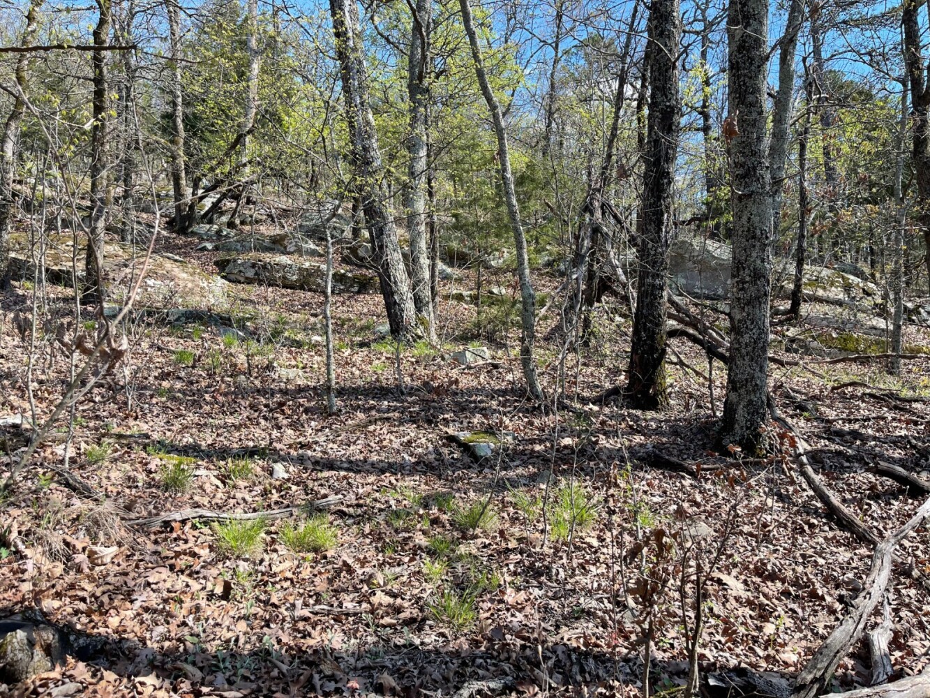 Land for Sale in Pushmataha County, OK (95 of 100)