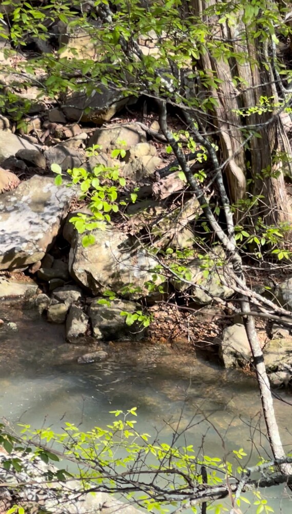 Land for Sale in Pushmataha County, OK (98 of 100)