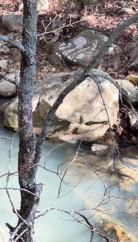 Land for Sale in Pushmataha County, OK (99 of 100)
