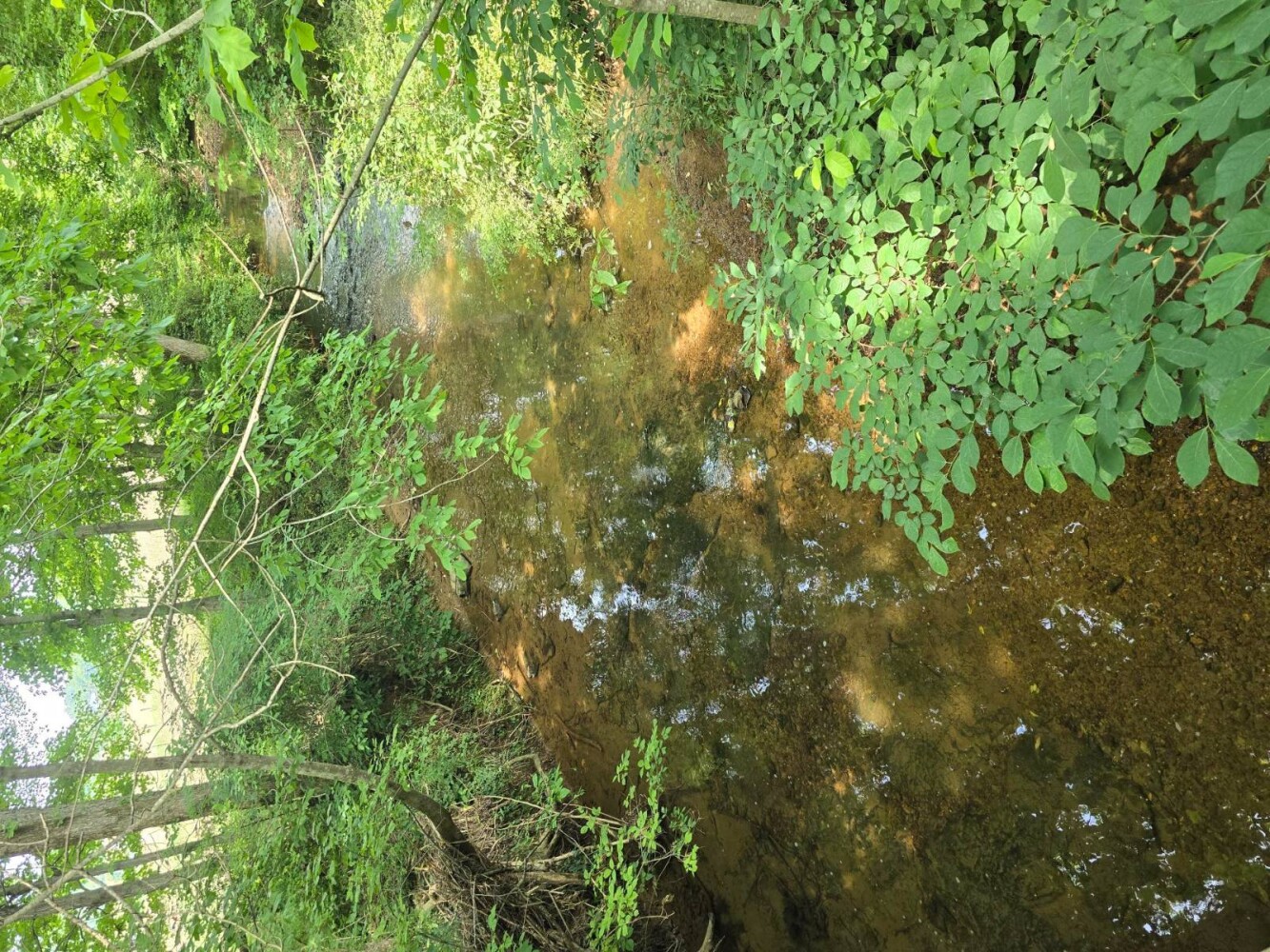 Land for Sale in Metcalfe County, KY (2 of 20)