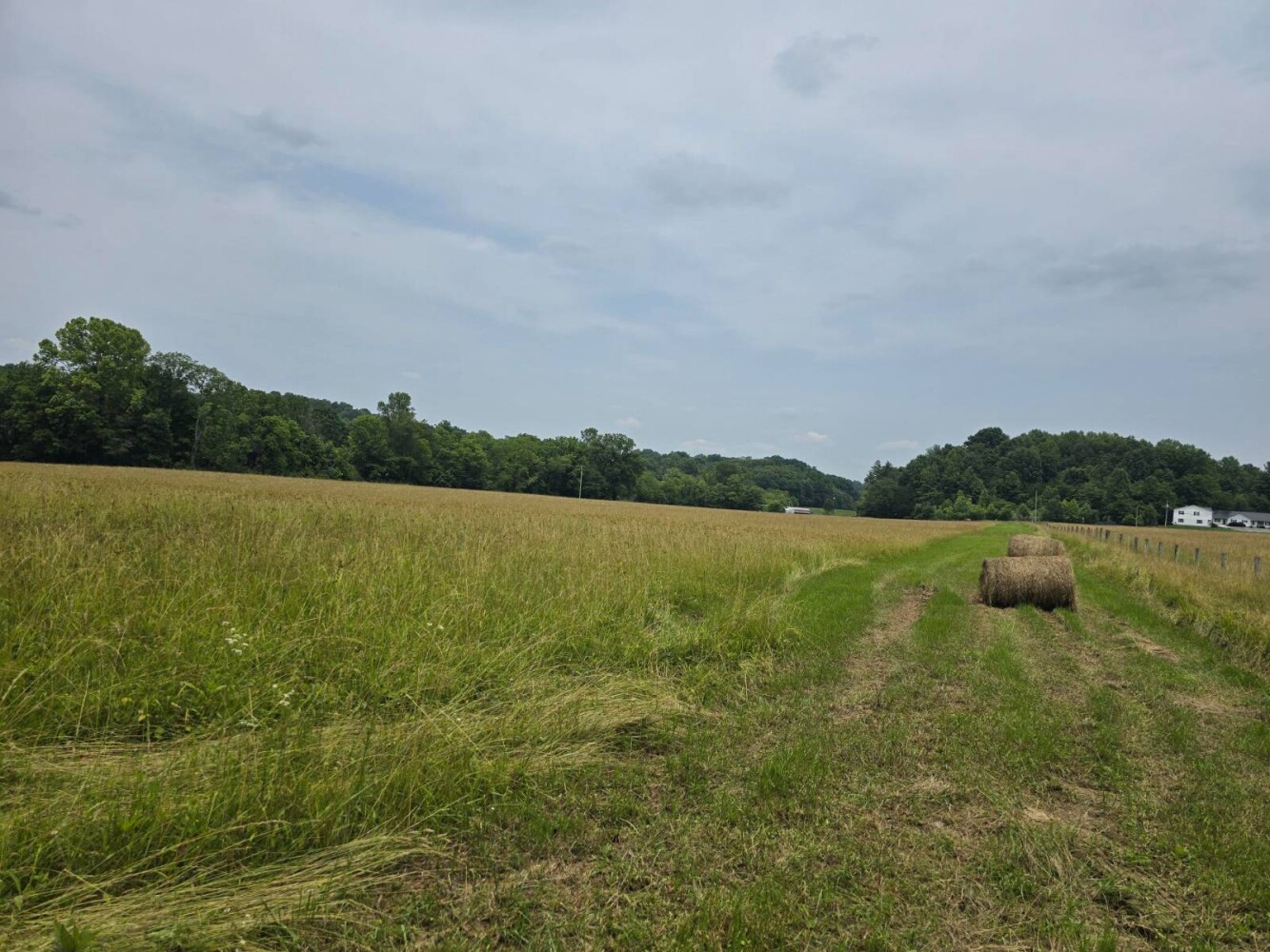 Land for Sale in Metcalfe County, KY (3 of 20)