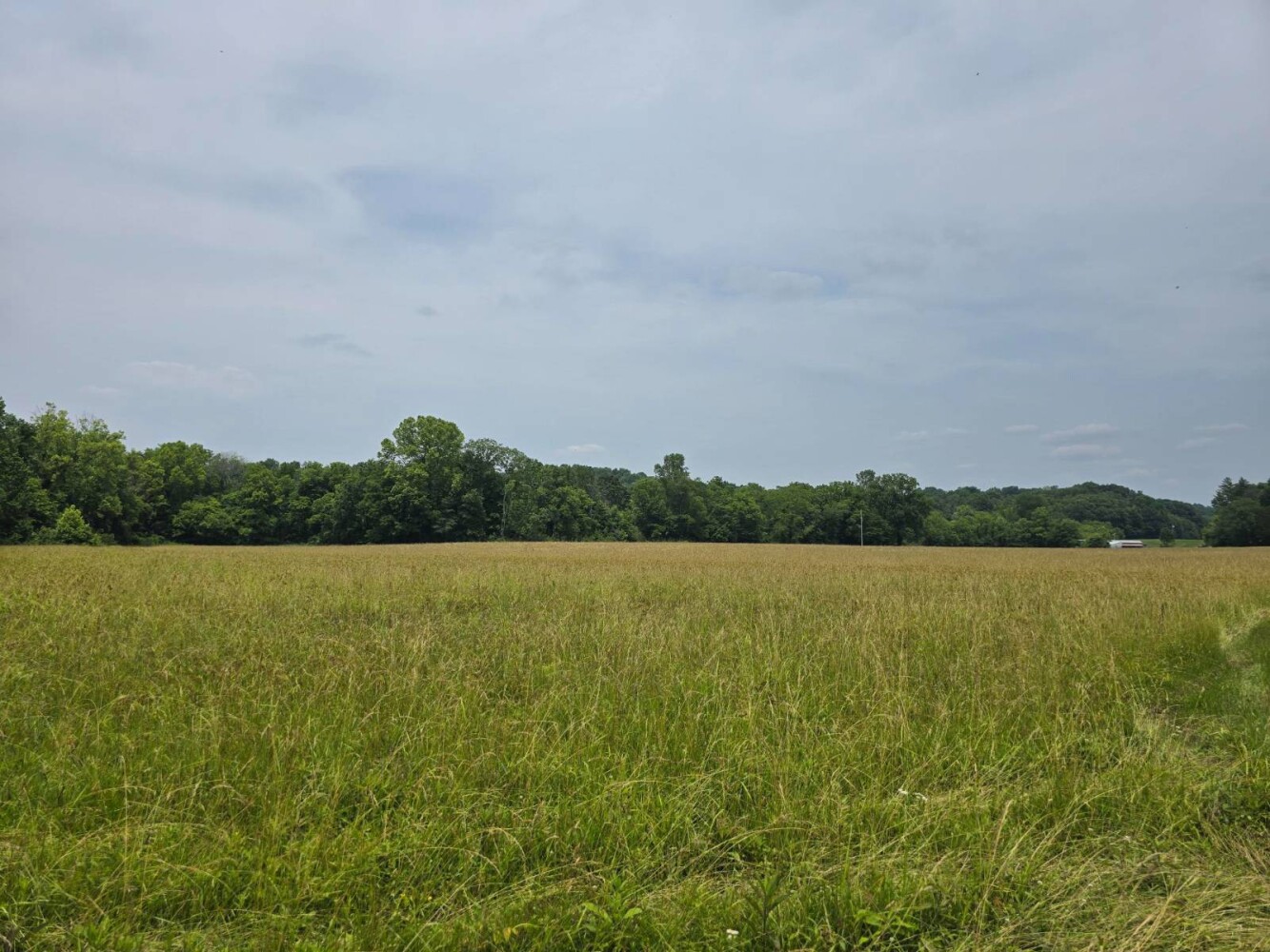 Land for Sale in Metcalfe County, KY (7 of 20)
