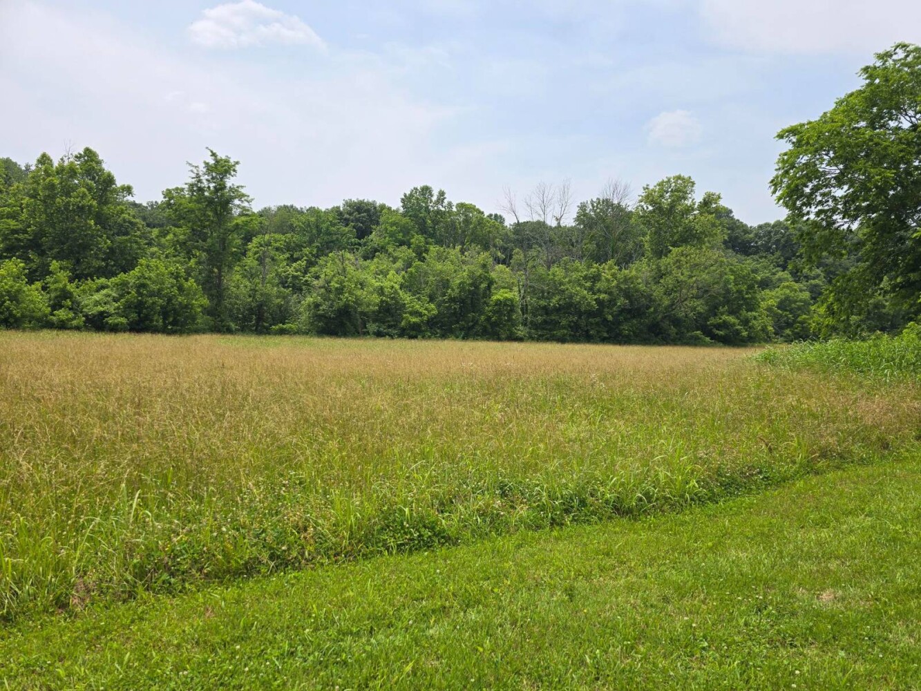 Land for Sale in Metcalfe County, KY (8 of 20)