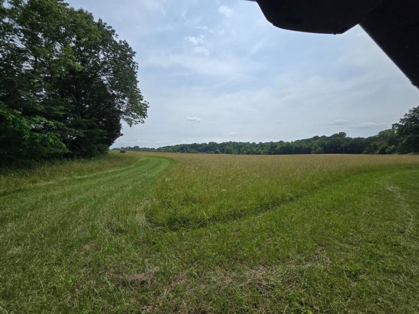 Land for Sale in Metcalfe County, KY (10 of 20)