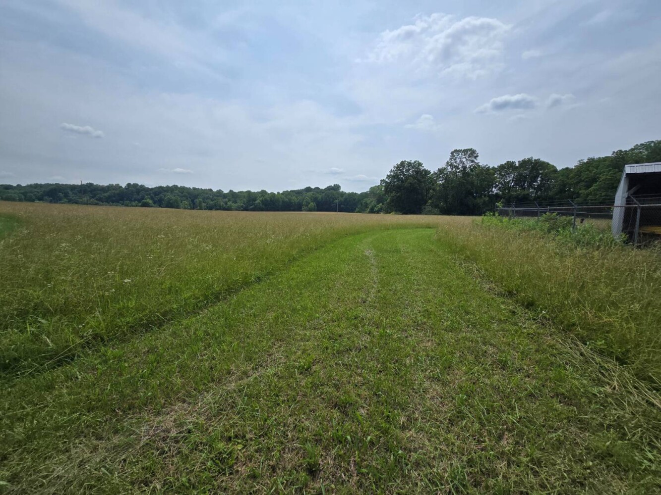 Land for Sale in Metcalfe County, KY (11 of 20)
