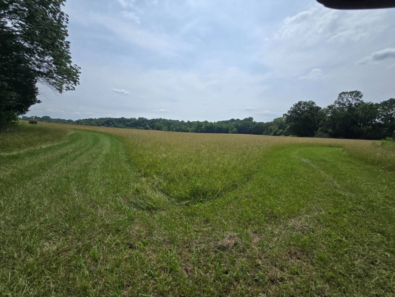 Land for Sale in Metcalfe County, KY (12 of 20)