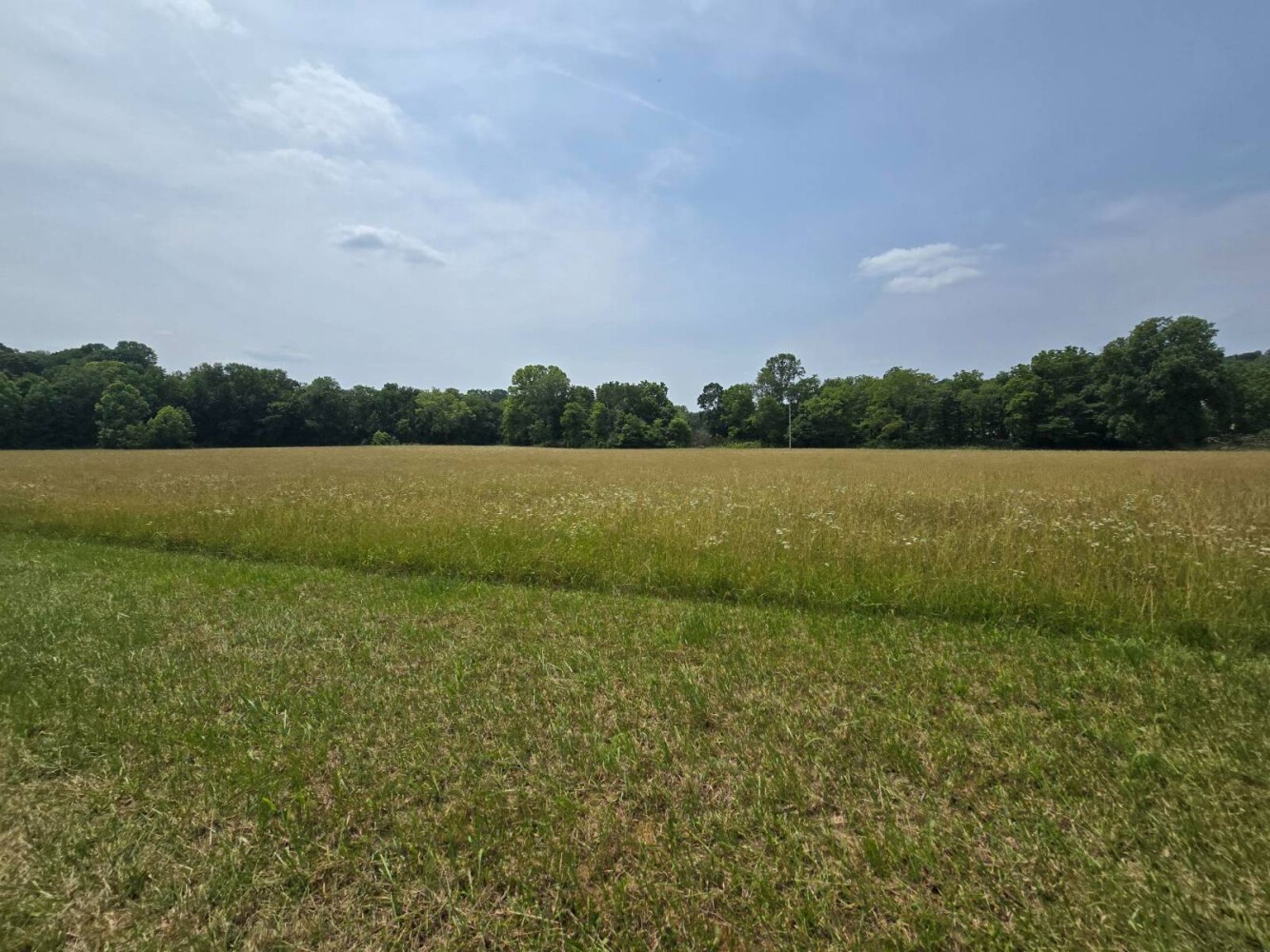 Land for Sale in Metcalfe County, KY (13 of 20)