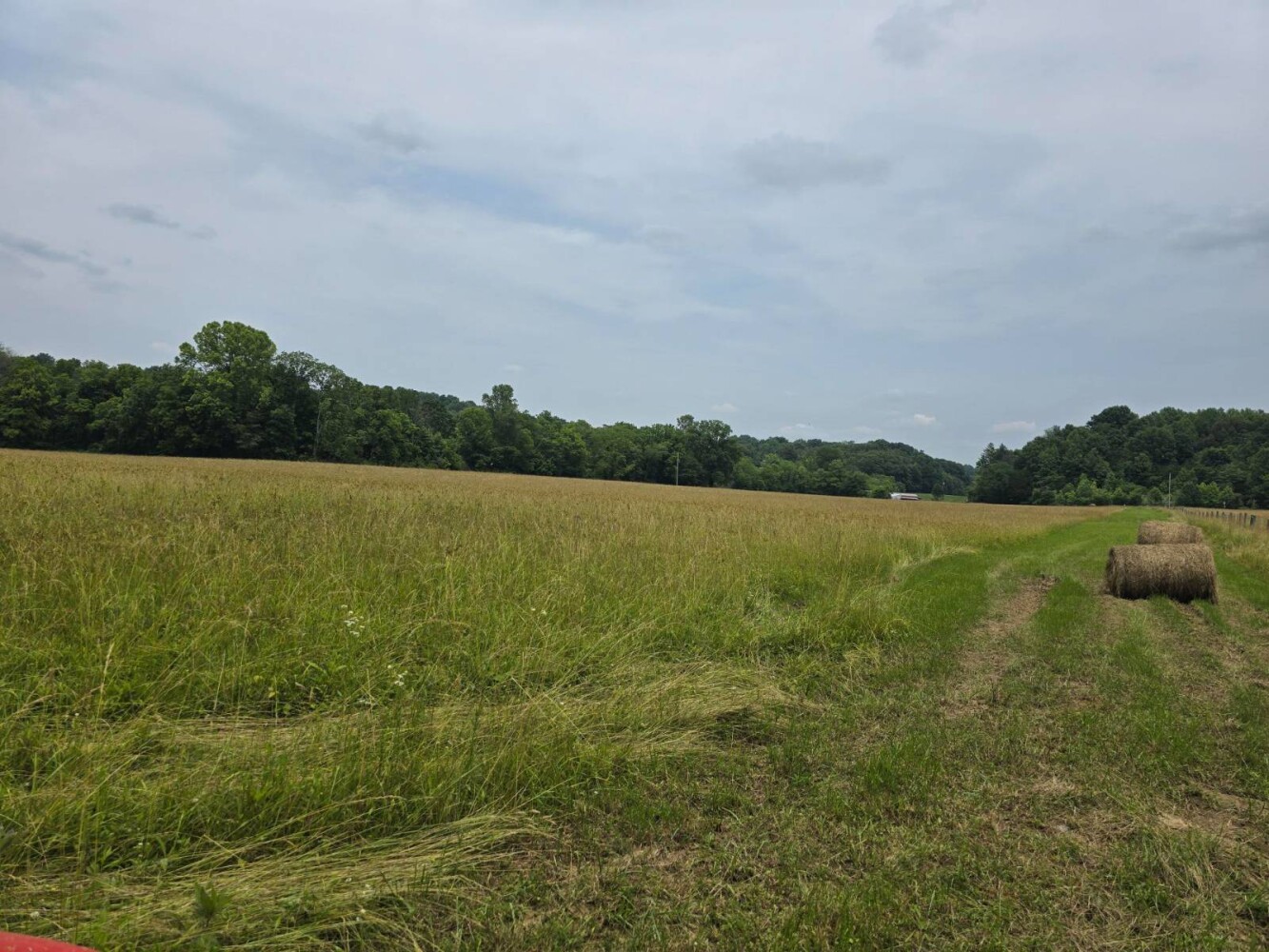 Land for Sale in Metcalfe County, KY (18 of 20)