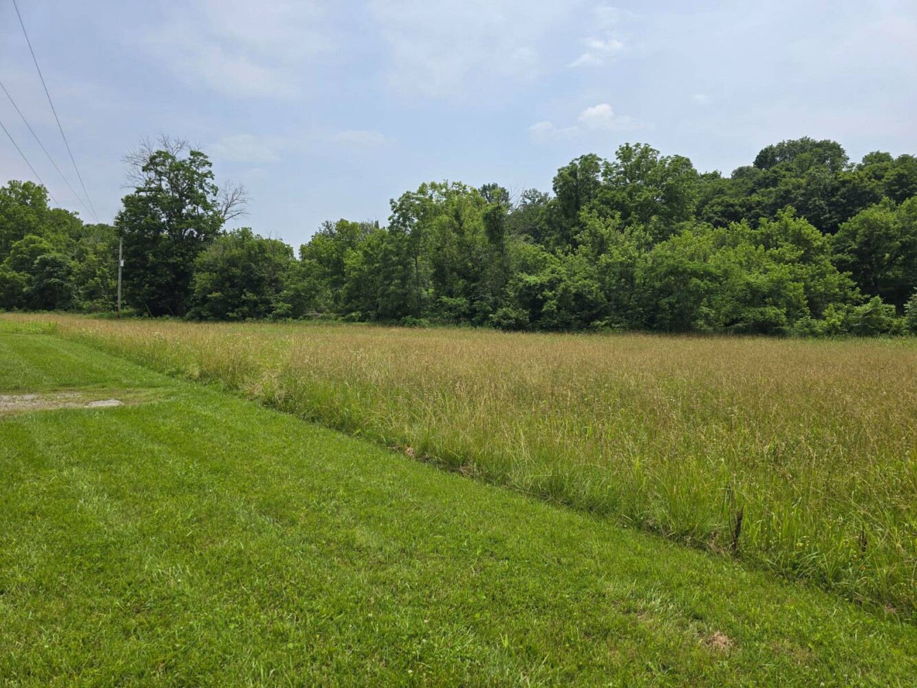 Land for Sale in Metcalfe County, KY (19 of 20)