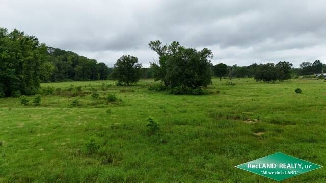 Land for Sale in Union Parish, LA (4 of 20)
