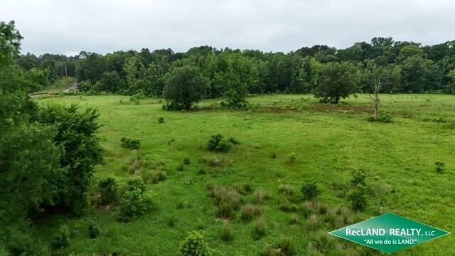 Land for Sale in Union Parish, LA (8 of 20)