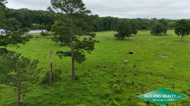 Land for Sale in Union Parish, LA (13 of 20)