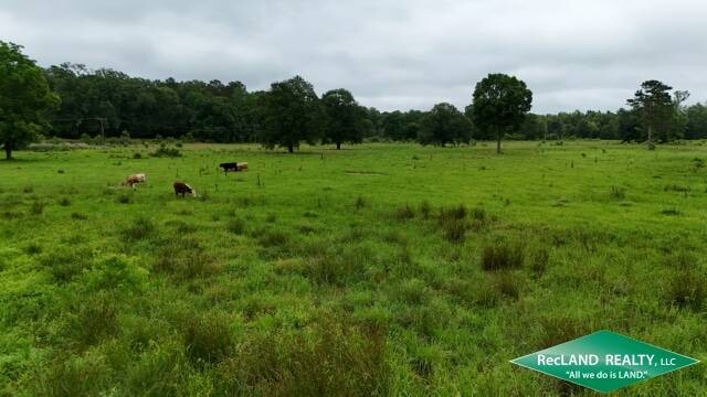 Land for Sale in Union Parish, LA (14 of 20)