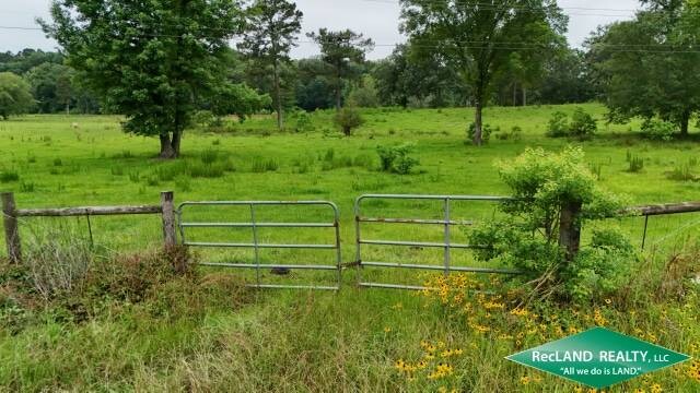 Land for Sale in Union Parish, LA (18 of 20)