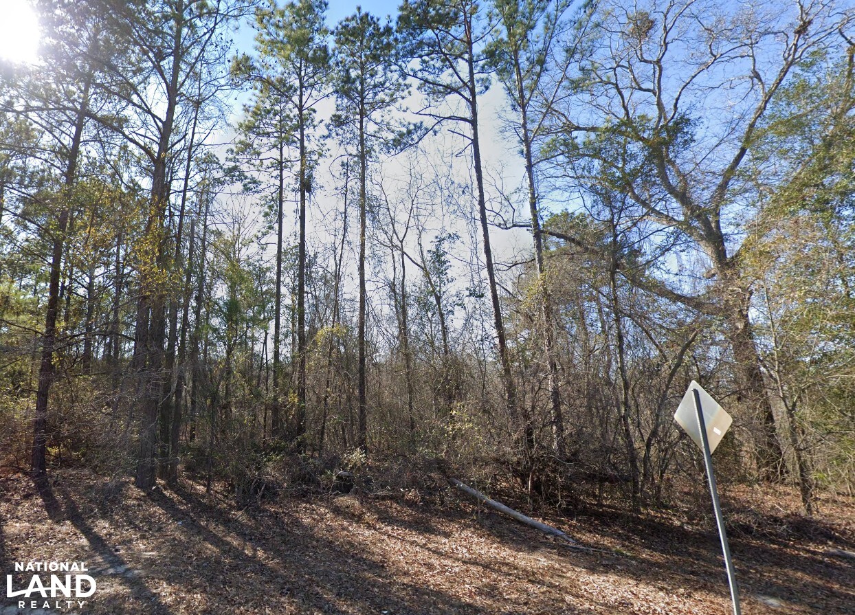 Warner Robins Dual Tracts in Houston County, GA (2 of 7)