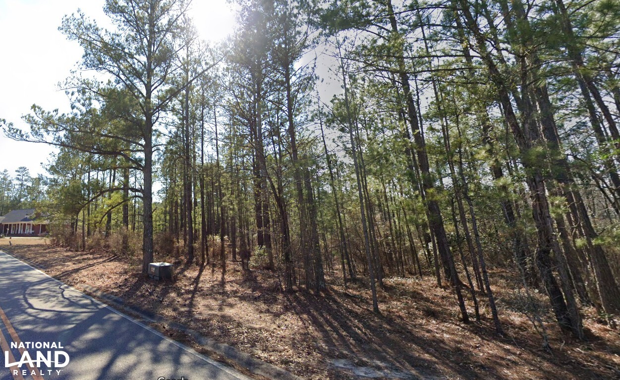 Warner Robins Dual Tracts in Houston County, GA (3 of 7)