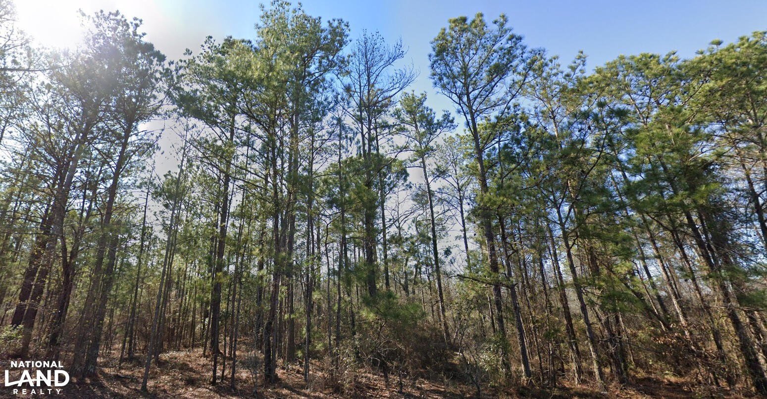 Warner Robins Dual Tracts in Houston County, GA (1 of 7)