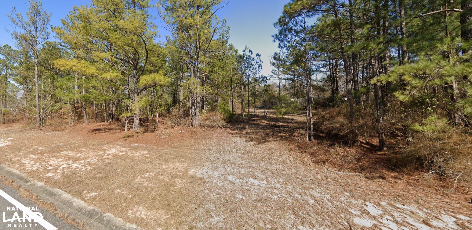 Warner Robins Dual Tracts in Houston County, GA (4 of 7)