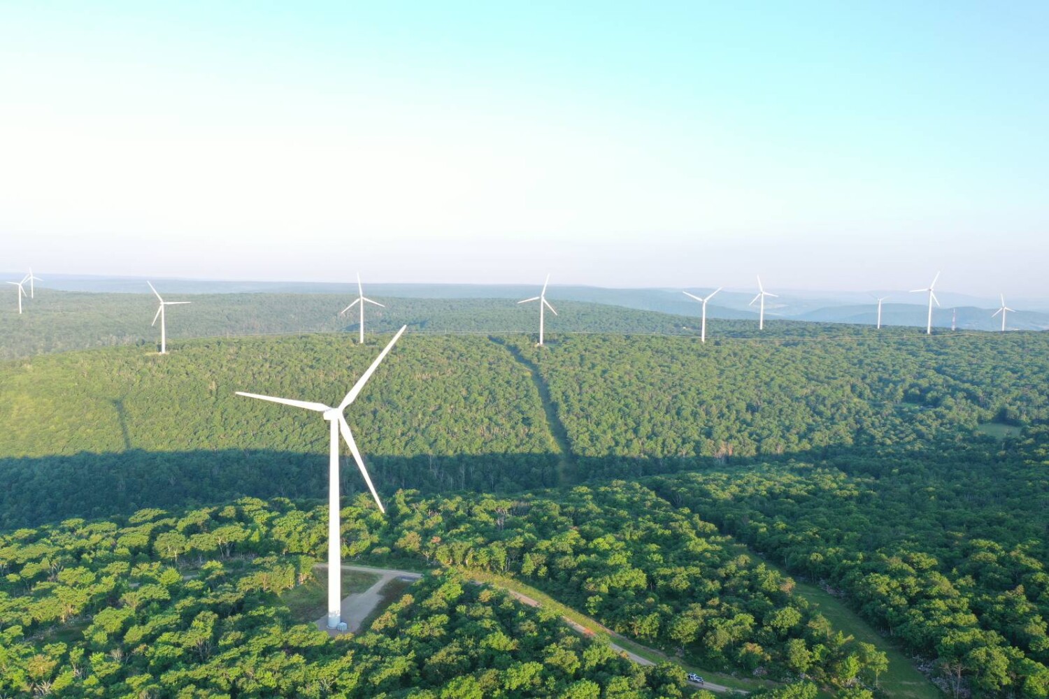Land for Sale in Wyoming County, PA (14 of 59)