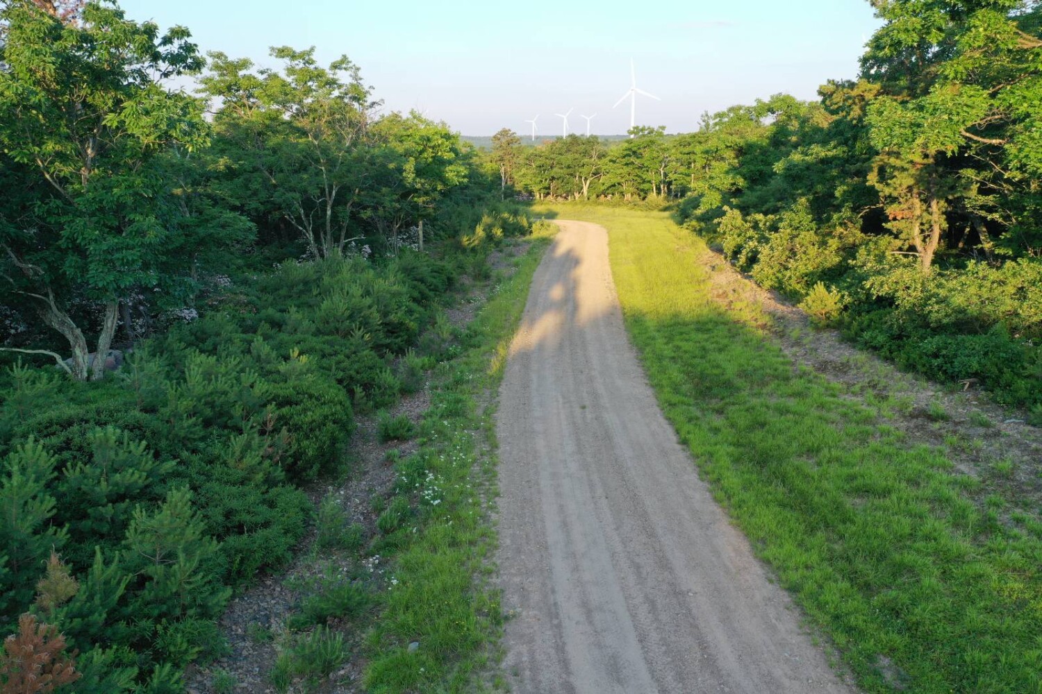 Land for Sale in Wyoming County, PA (18 of 59)