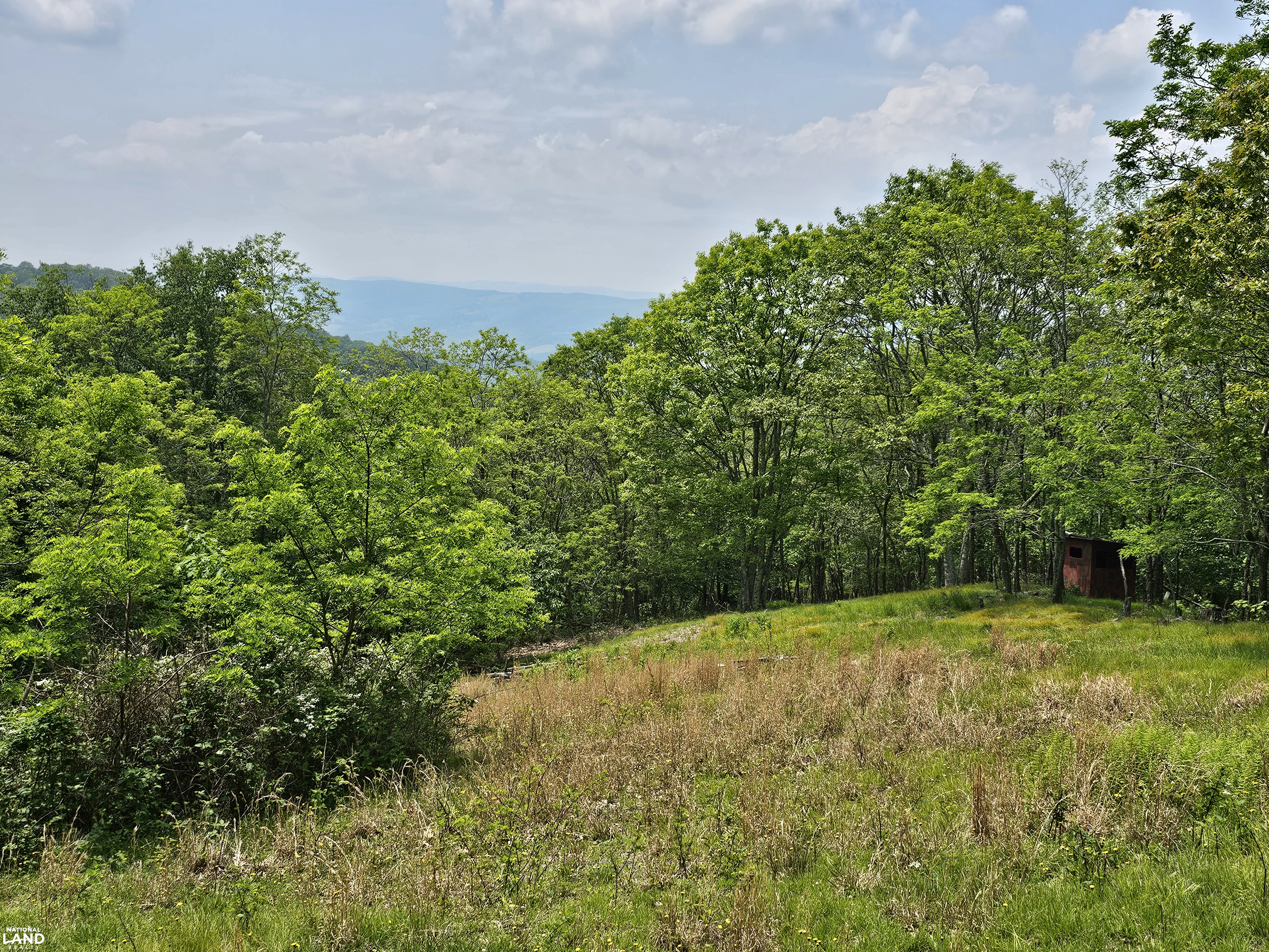 246 Acre Mountain Paradise in Highland County, VA (4 of 37)