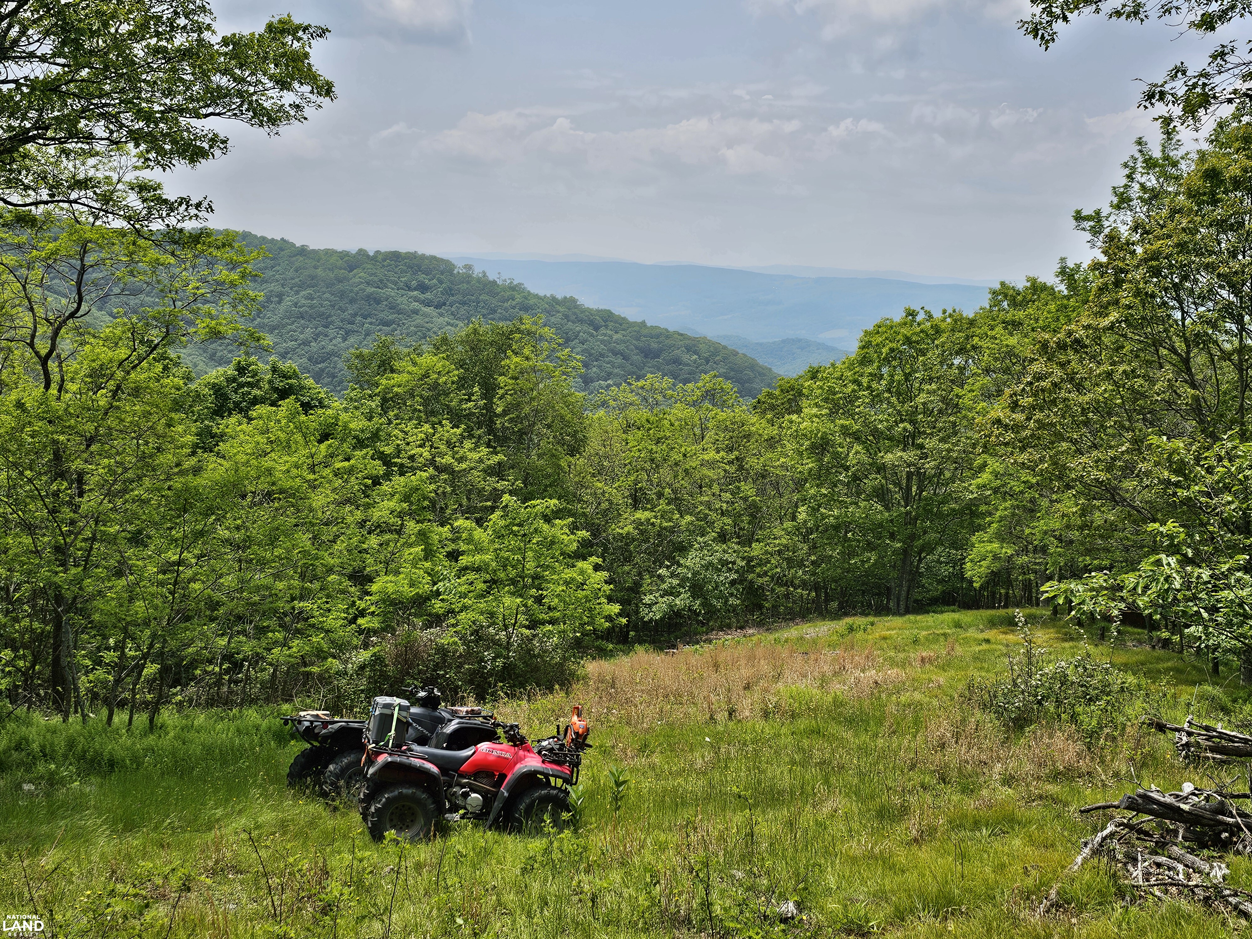 246 Acre Mountain Paradise in Highland County, VA (13 of 37)
