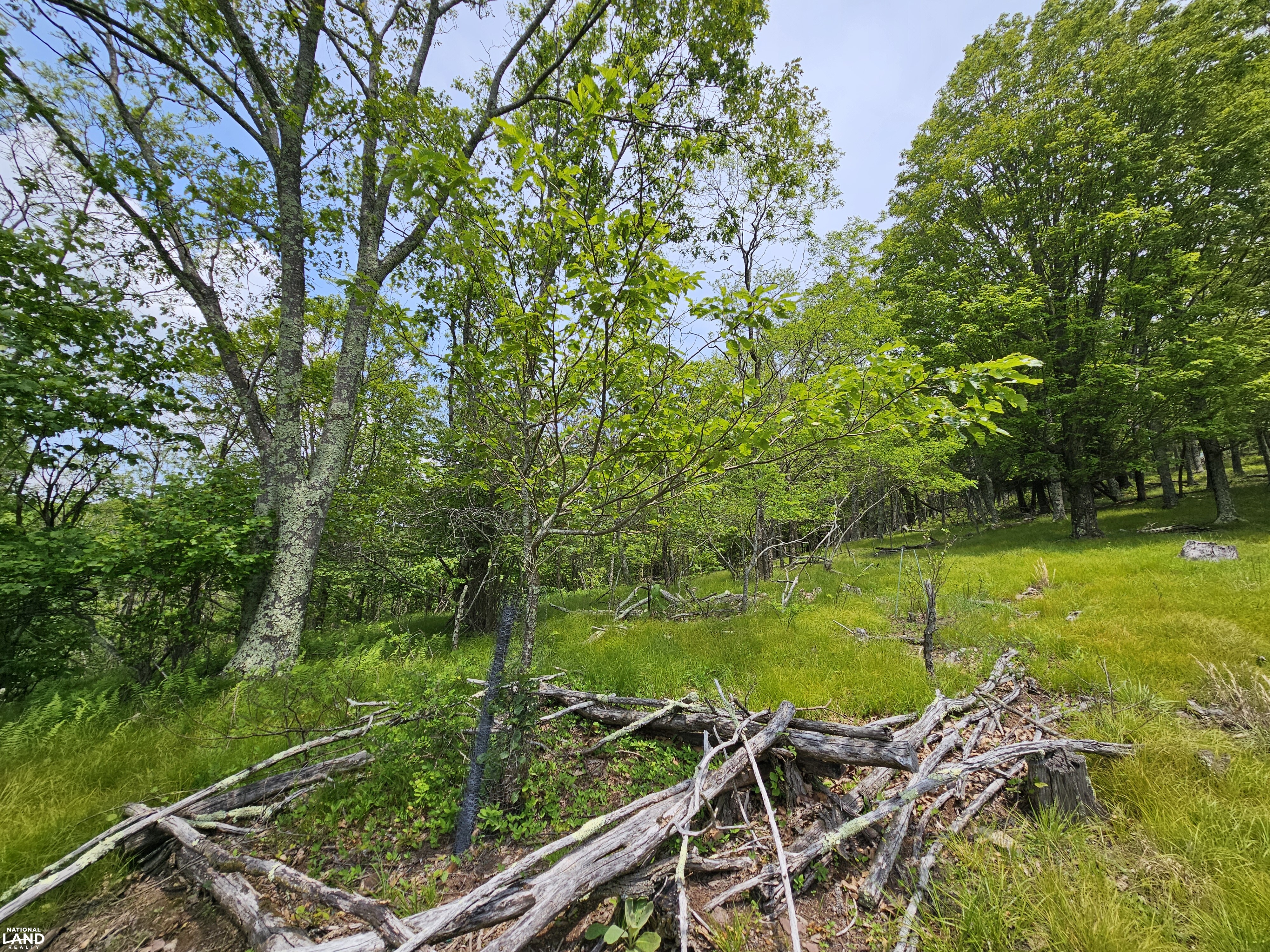 246 Acre Mountain Paradise in Highland County, VA (15 of 37)