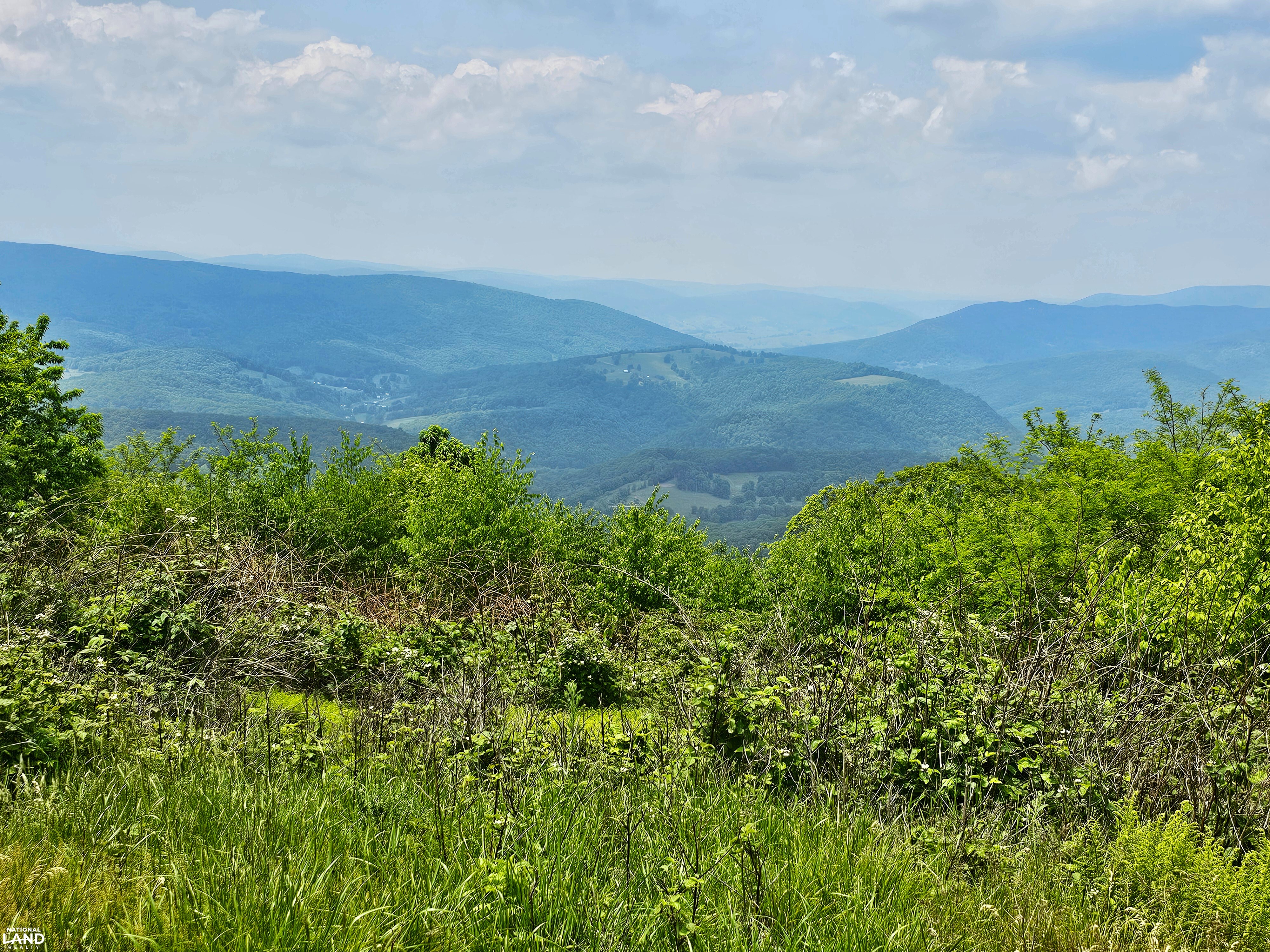 246 Acre Mountain Paradise in Highland County, VA (1 of 37)