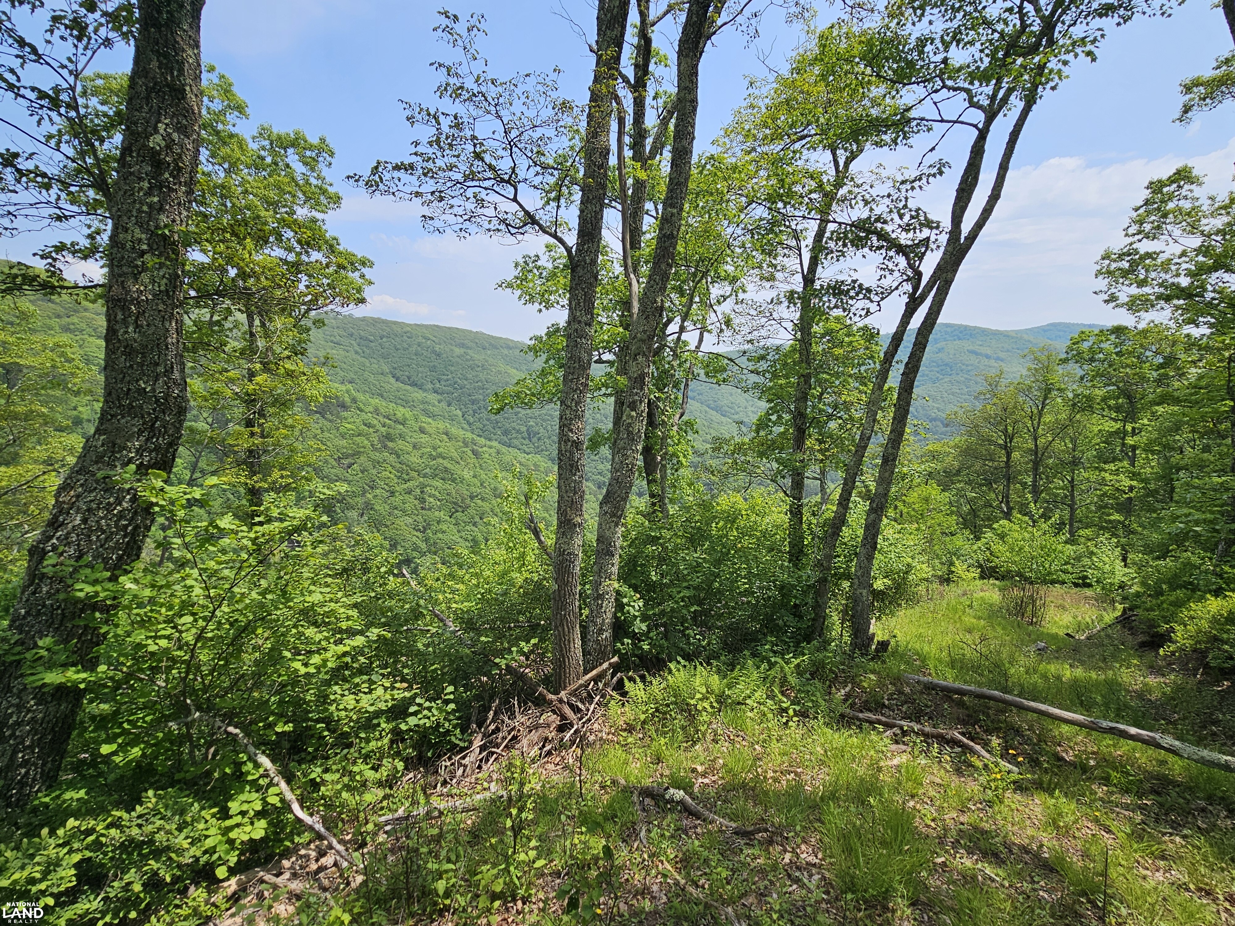 246 Acre Mountain Paradise in Highland County, VA (11 of 37)