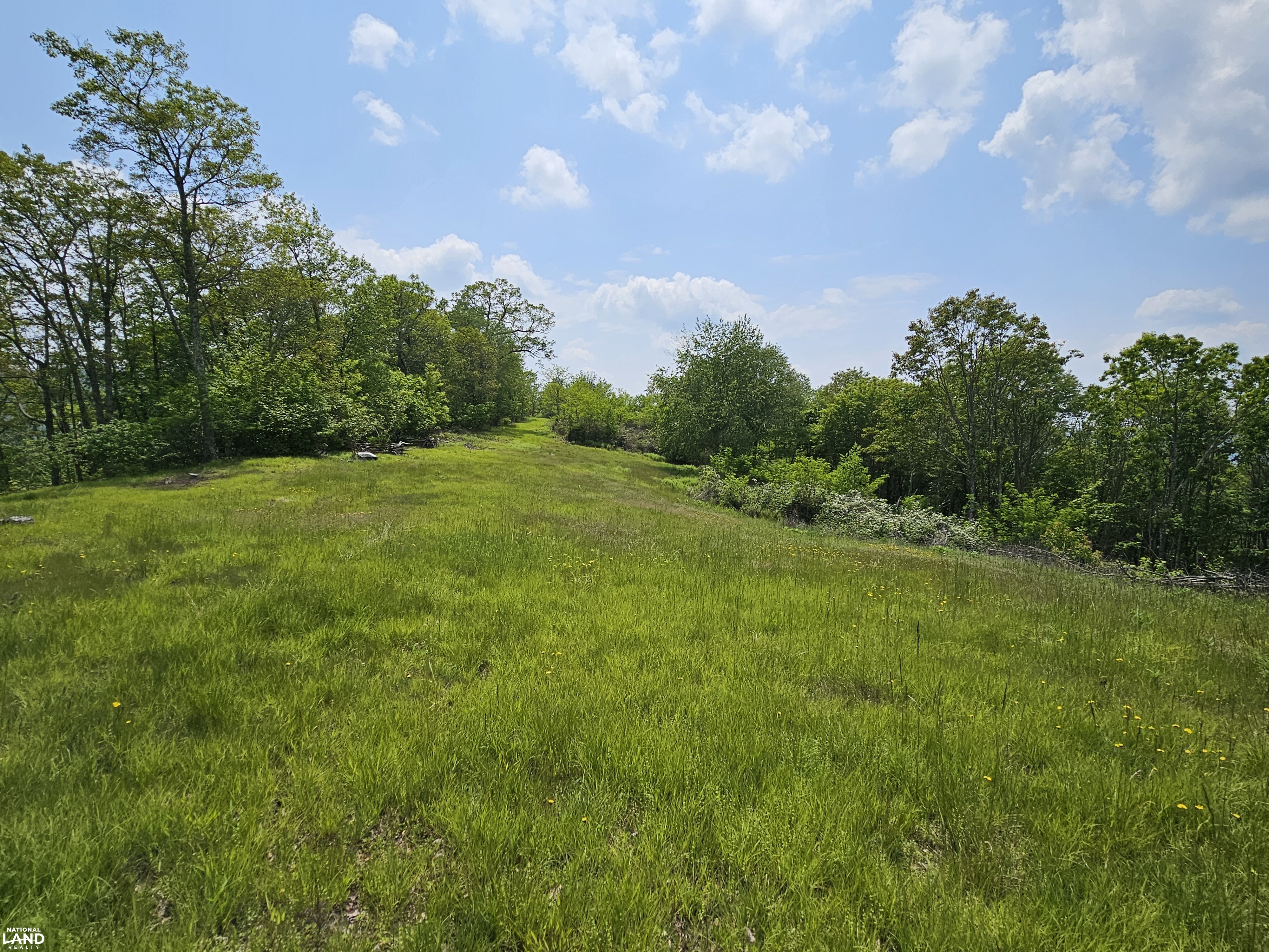 246 Acre Mountain Paradise in Highland County, VA (3 of 37)