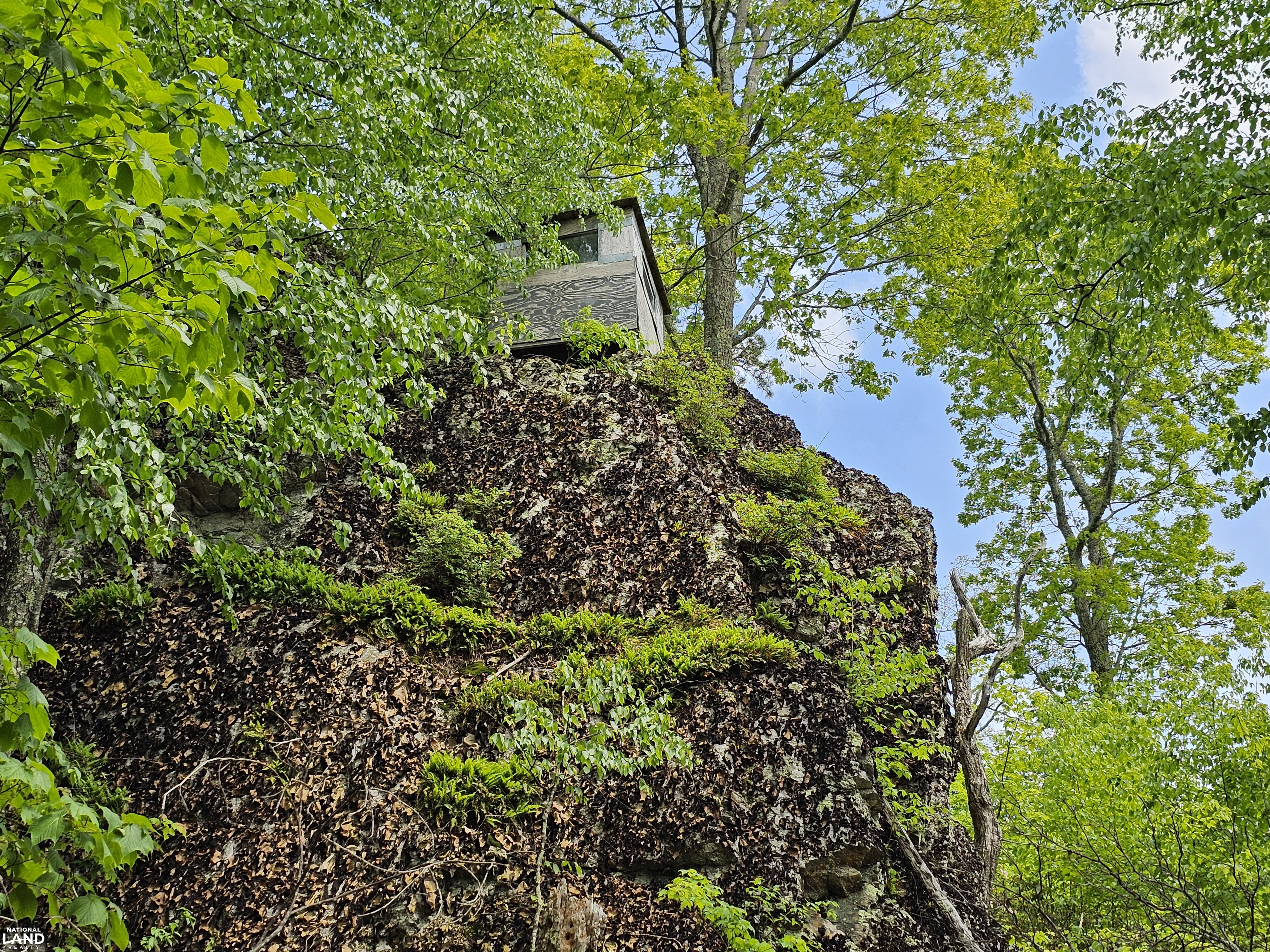 246 Acre Mountain Paradise in Highland County, VA (23 of 37)
