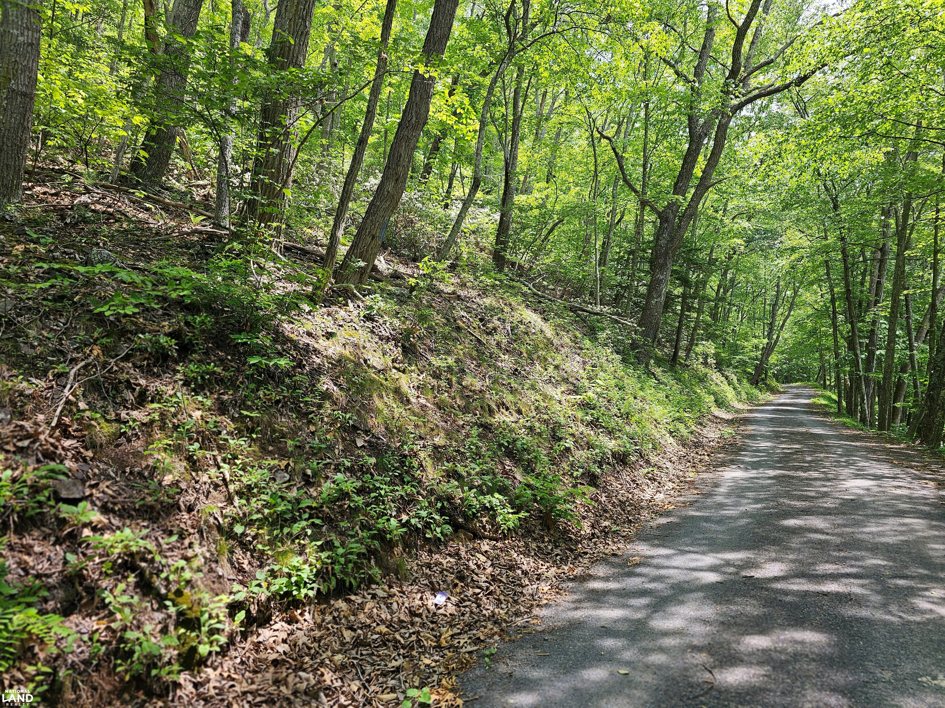 246 Acre Mountain Paradise in Highland County, VA (30 of 37)