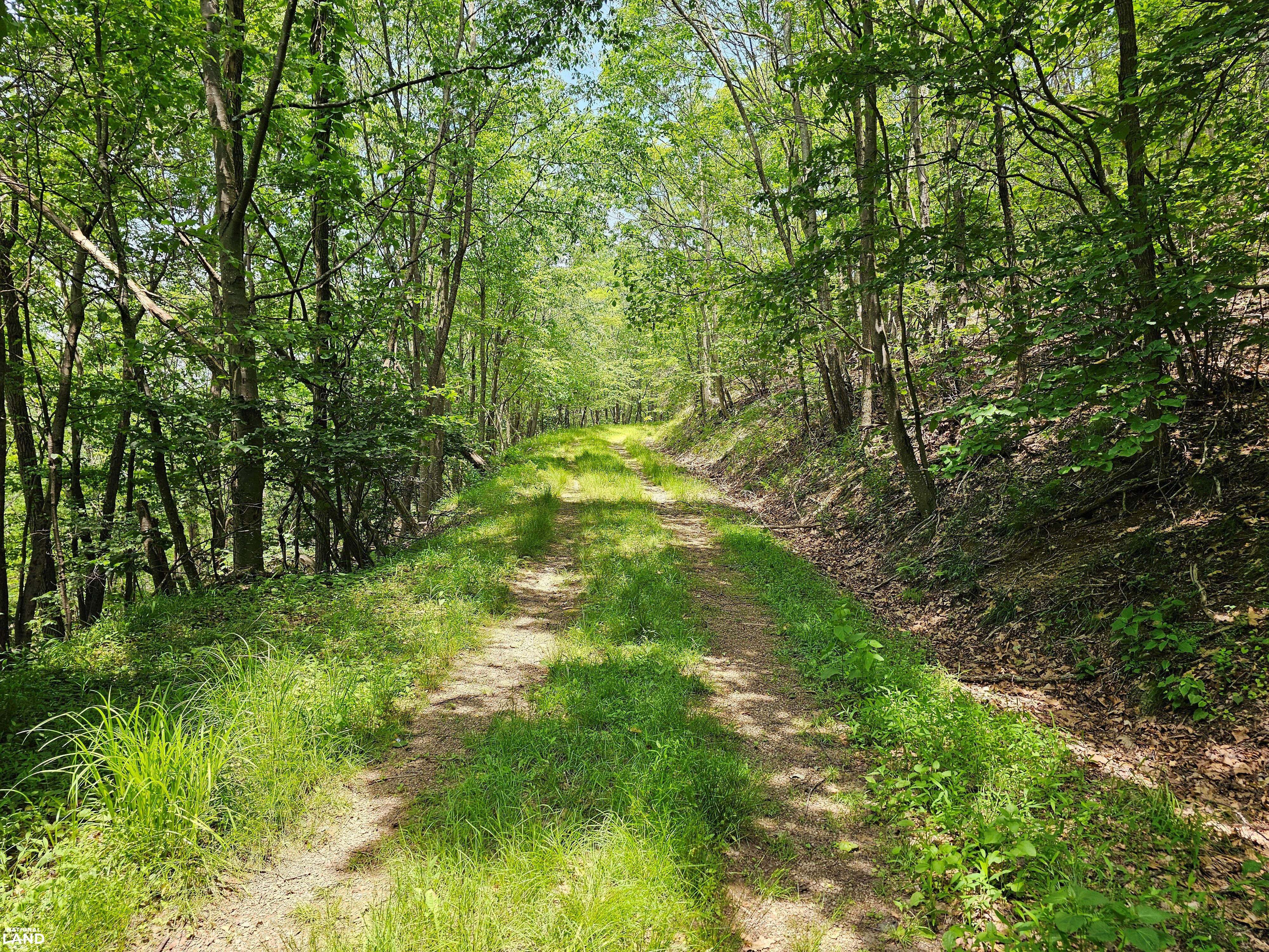 246 Acre Mountain Paradise in Highland County, VA (5 of 37)