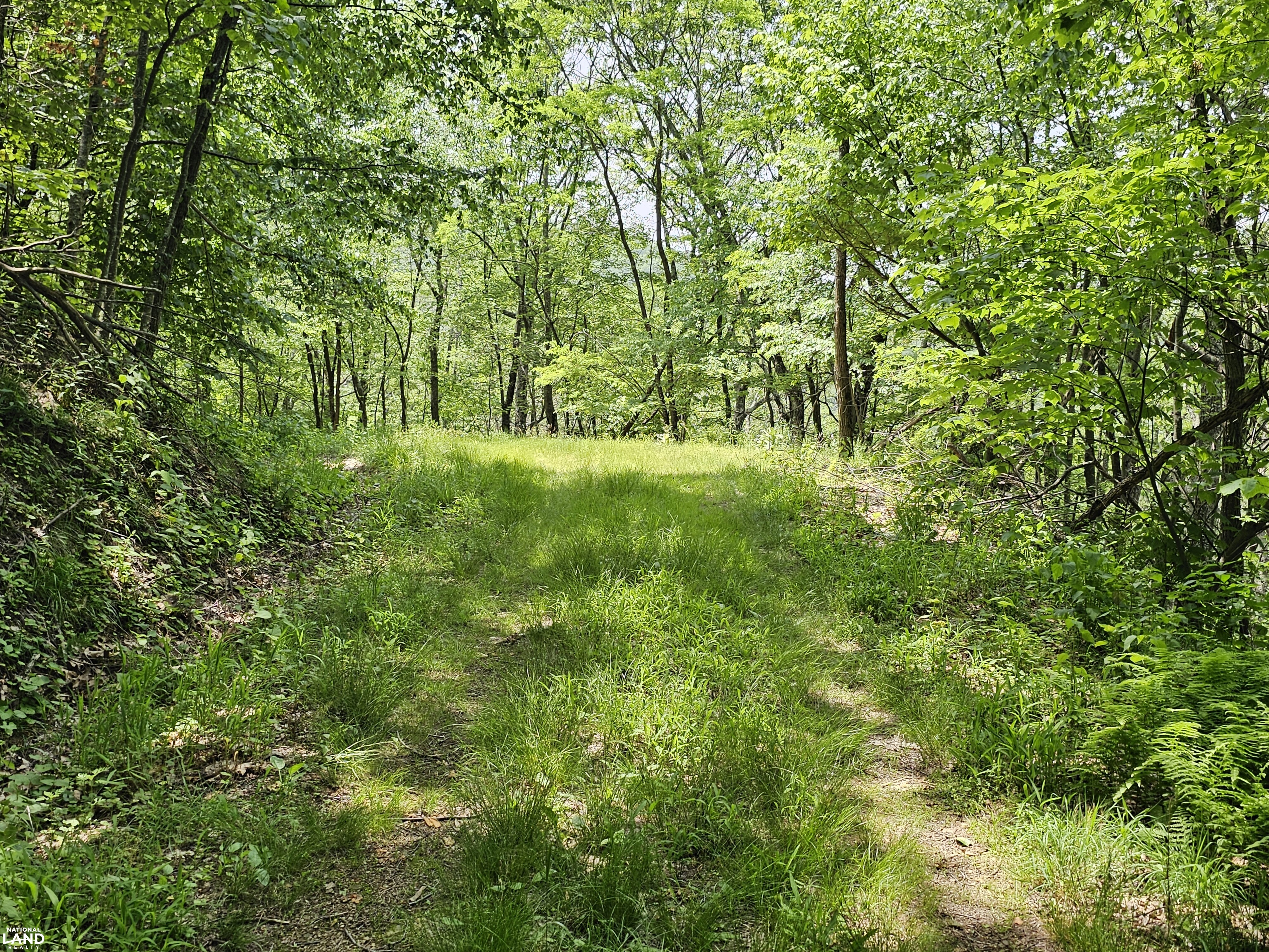 246 Acre Mountain Paradise in Highland County, VA (33 of 37)