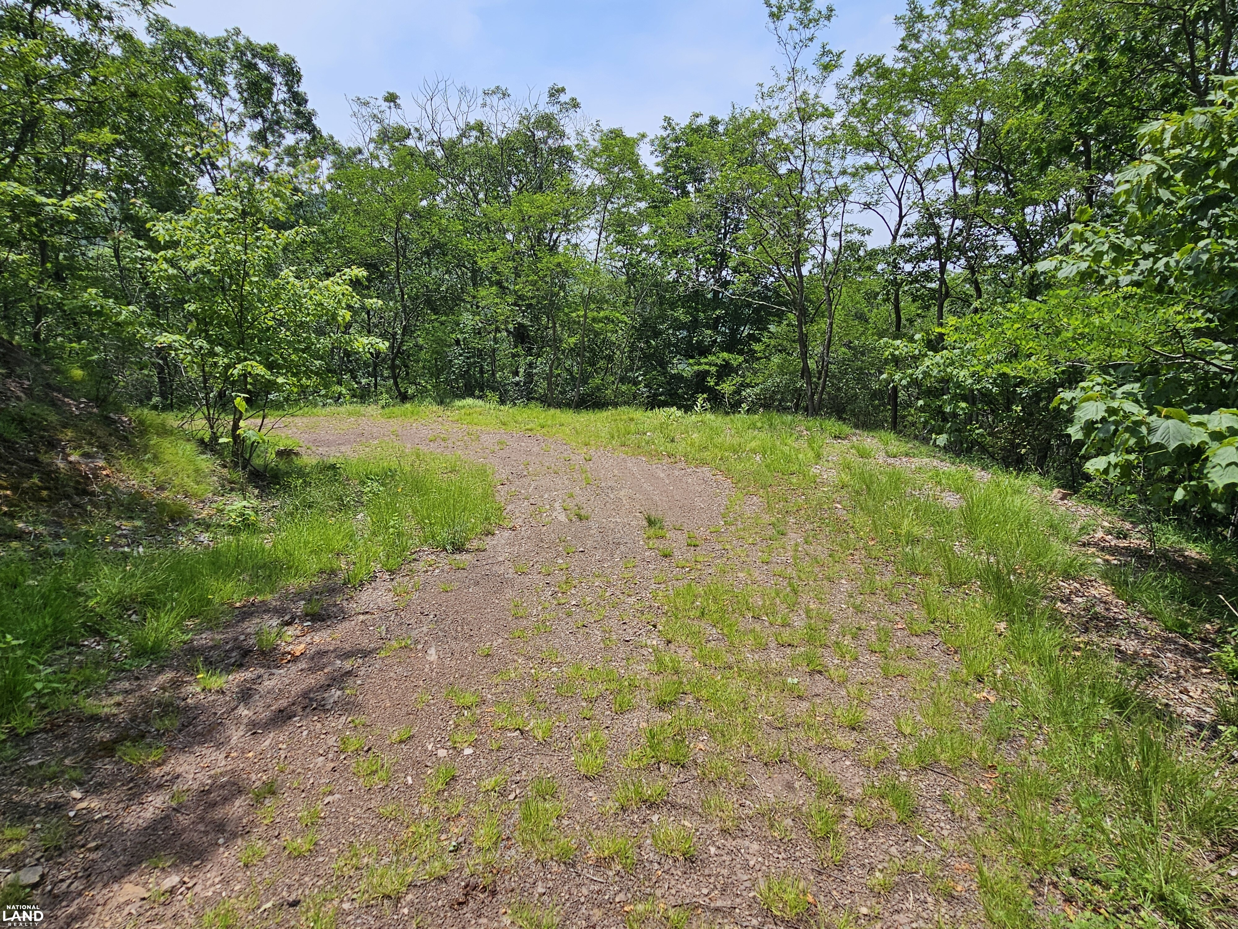 246 Acre Mountain Paradise in Highland County, VA (6 of 37)