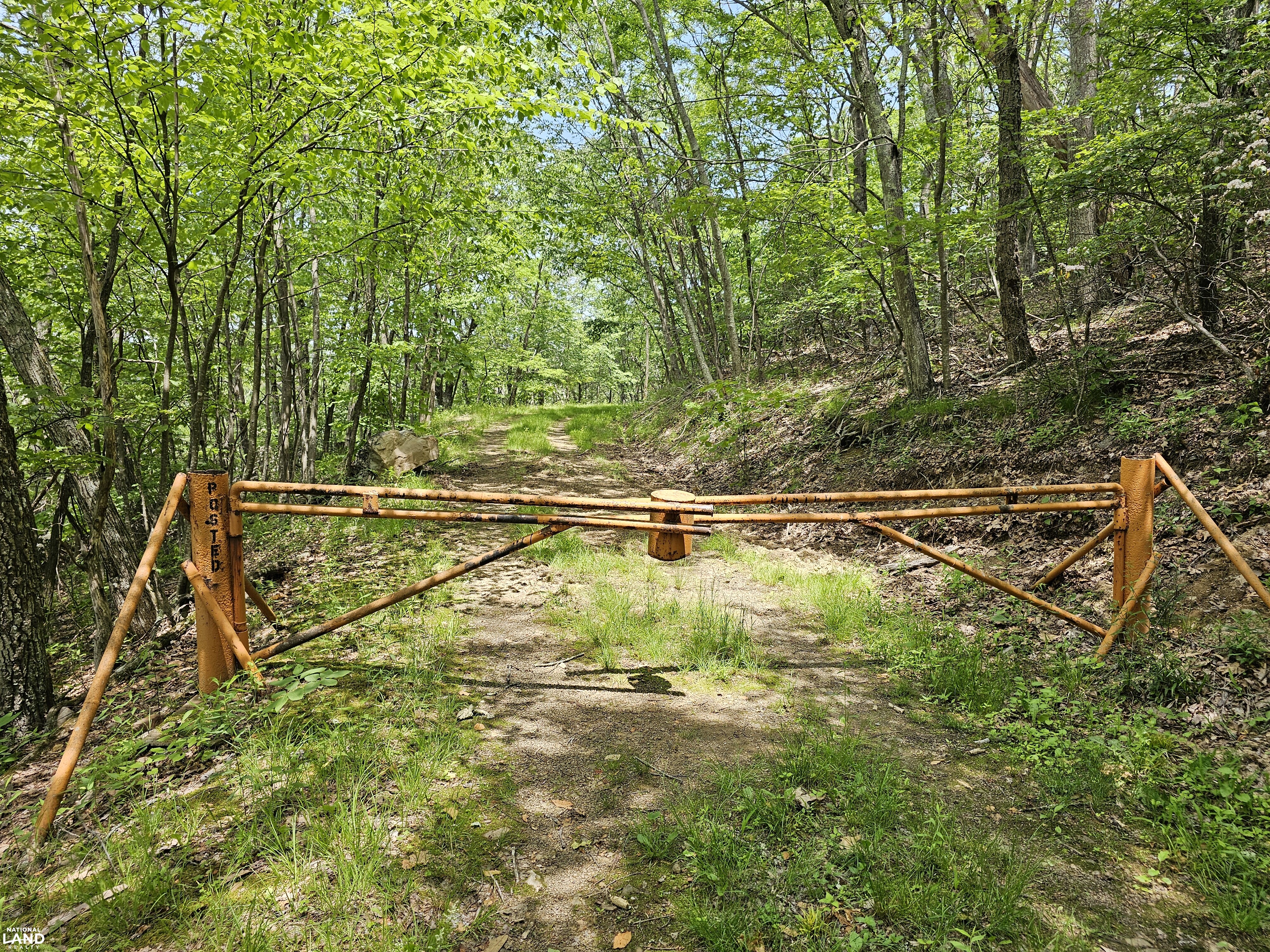 246 Acre Mountain Paradise in Highland County, VA (37 of 37)