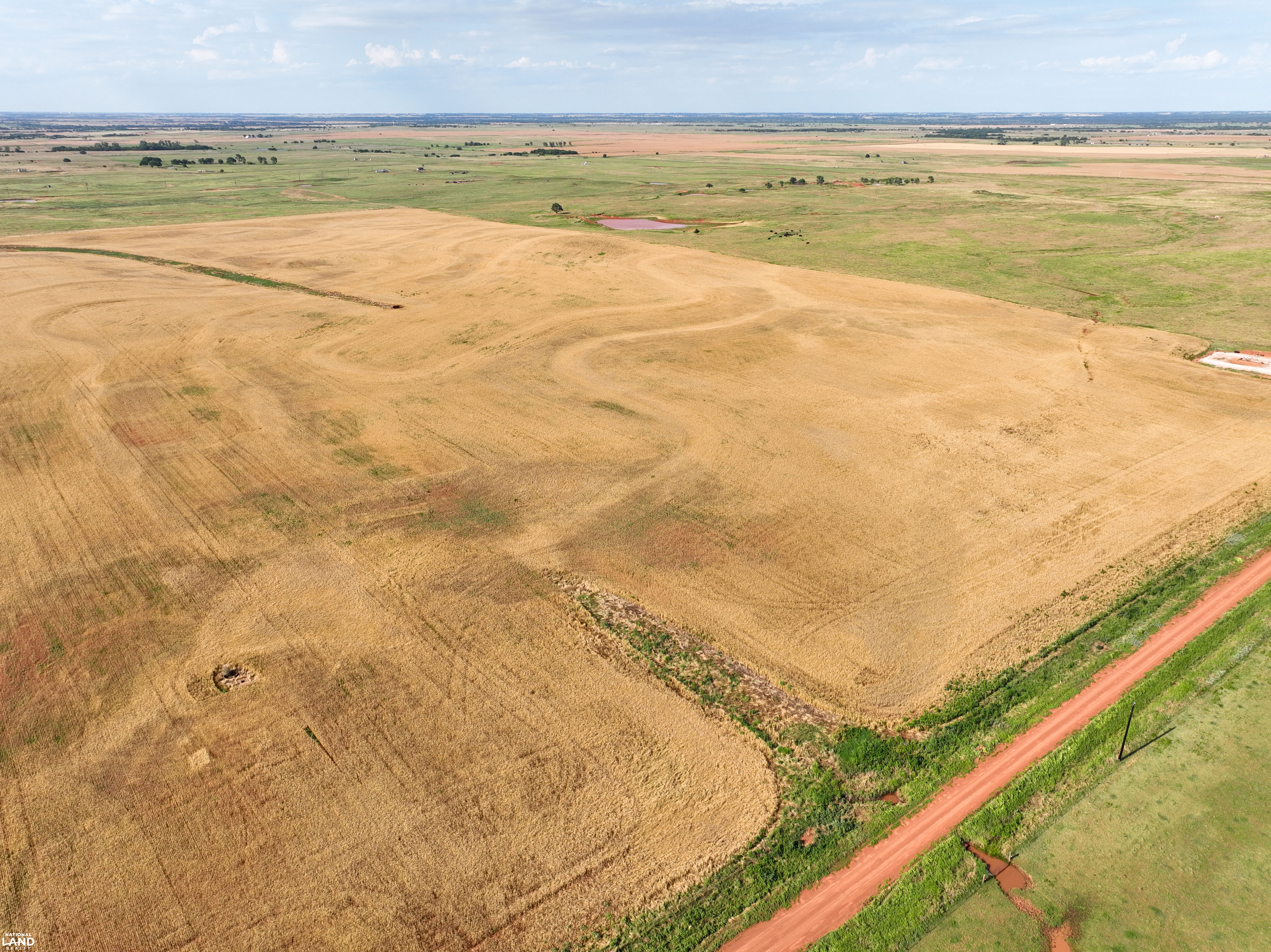Blaine County Wheat Farm in Blaine County, OK (7 of 28)