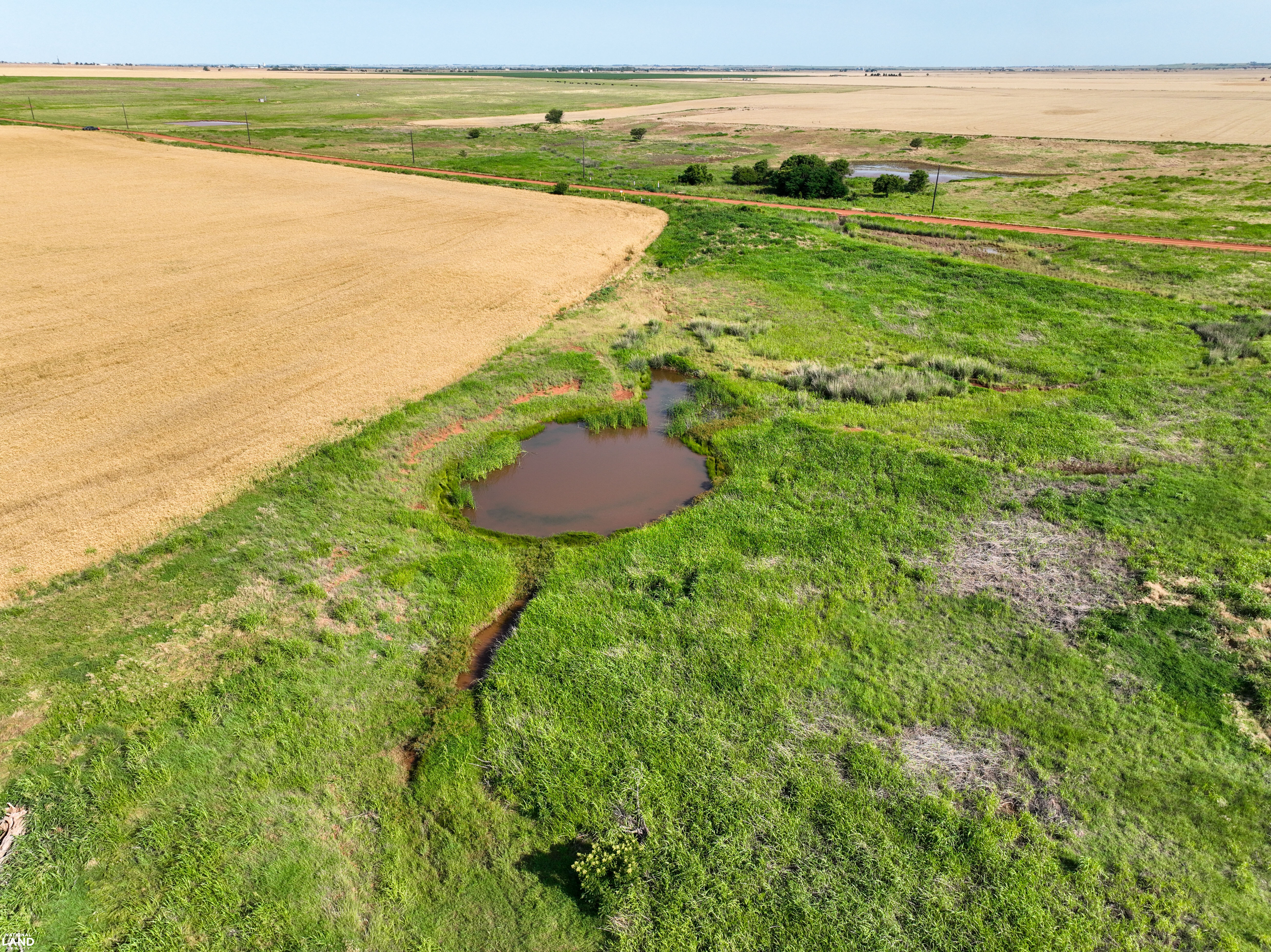 Blaine County Wheat Farm in Blaine County, OK (11 of 28)