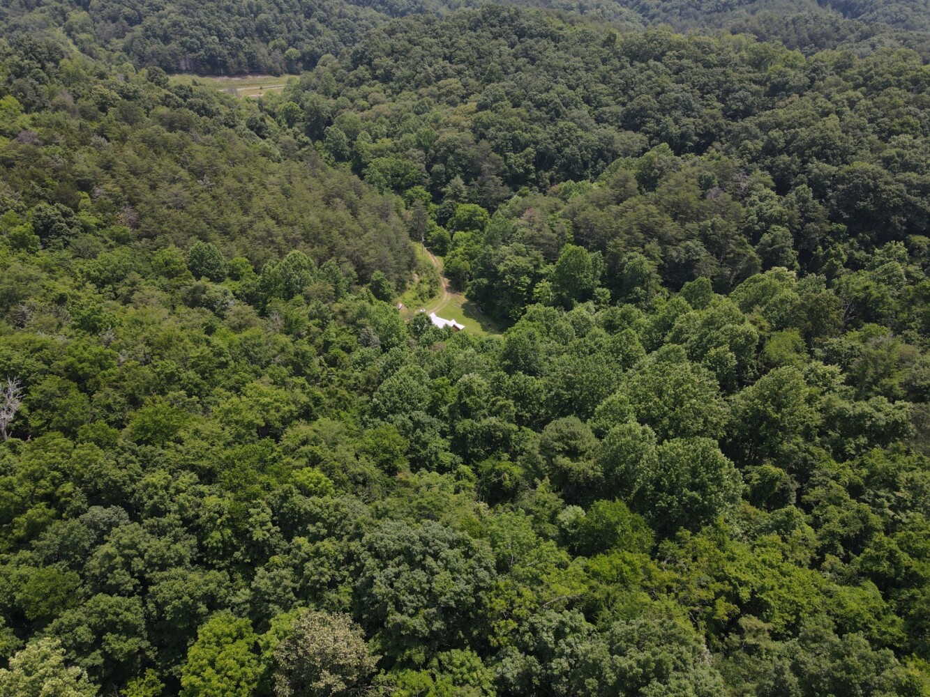 Land for Sale in Cocke County, TN (30 of 41)