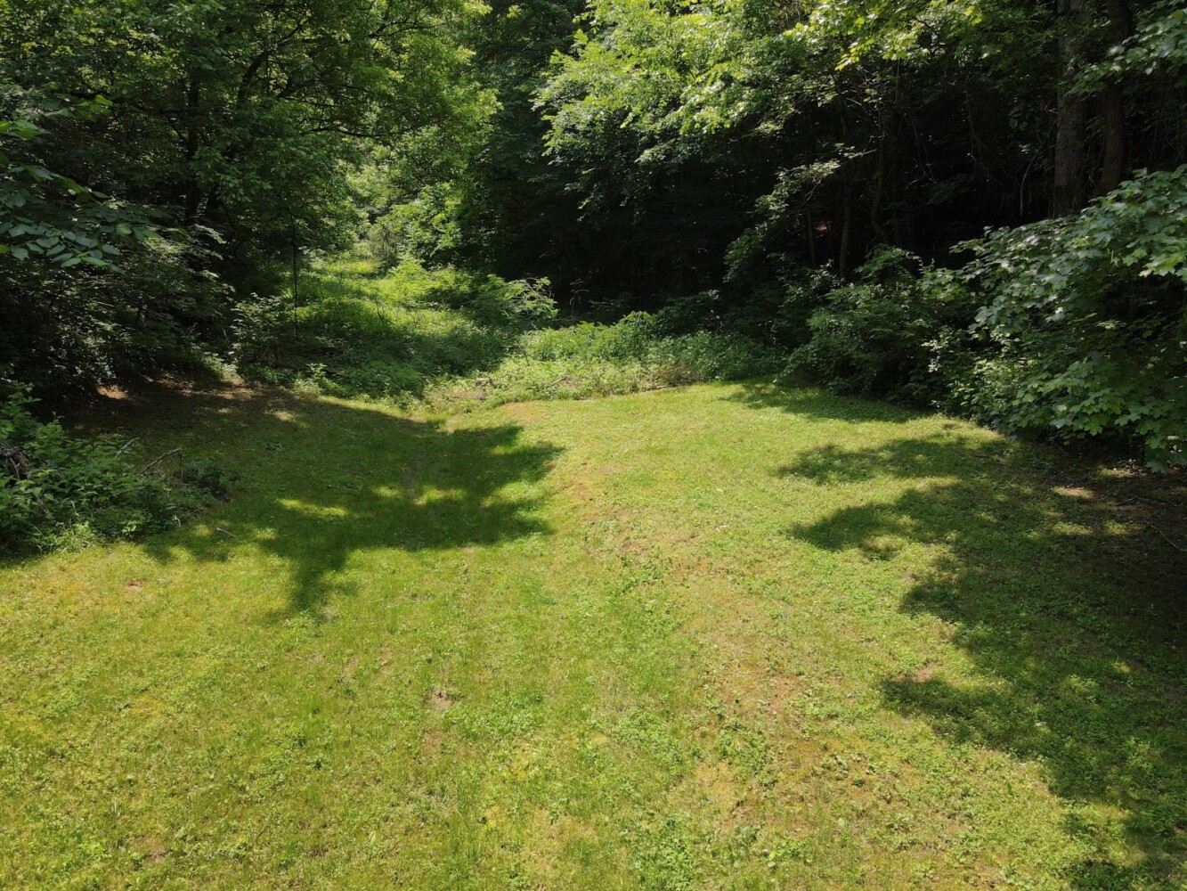 Land for Sale in Cocke County, TN (31 of 41)