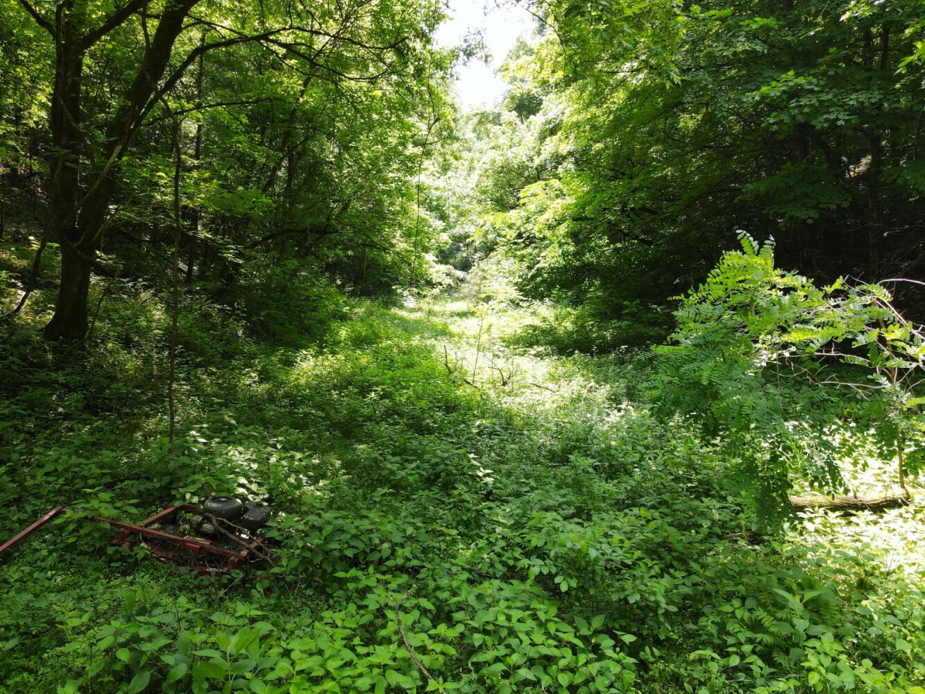 Land for Sale in Cocke County, TN (32 of 41)