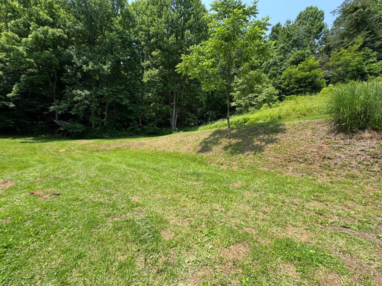 Land for Sale in Cocke County, TN (33 of 41)