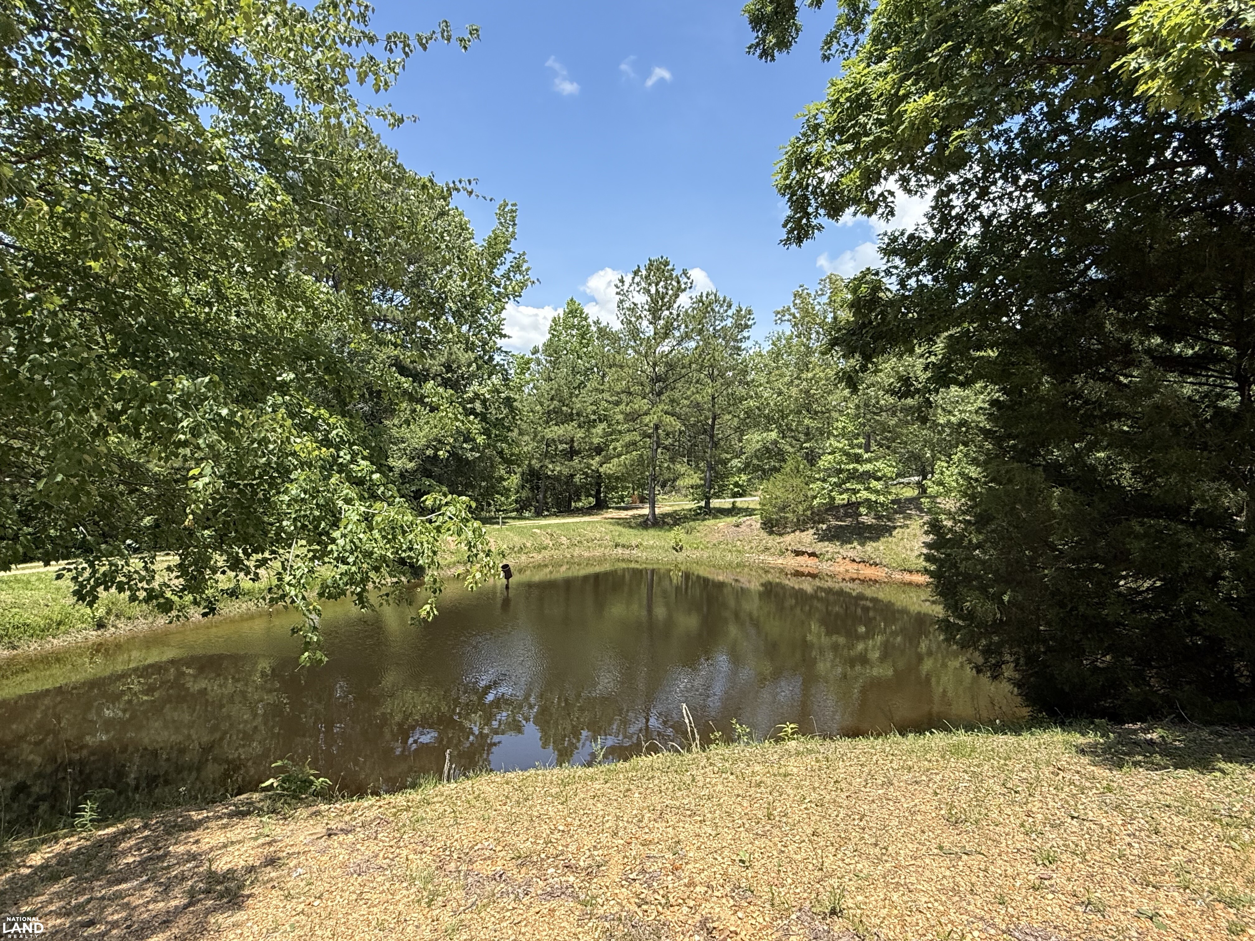 Detroit Hunting and Fish Camp in Lamar County, AL (22 of 31)