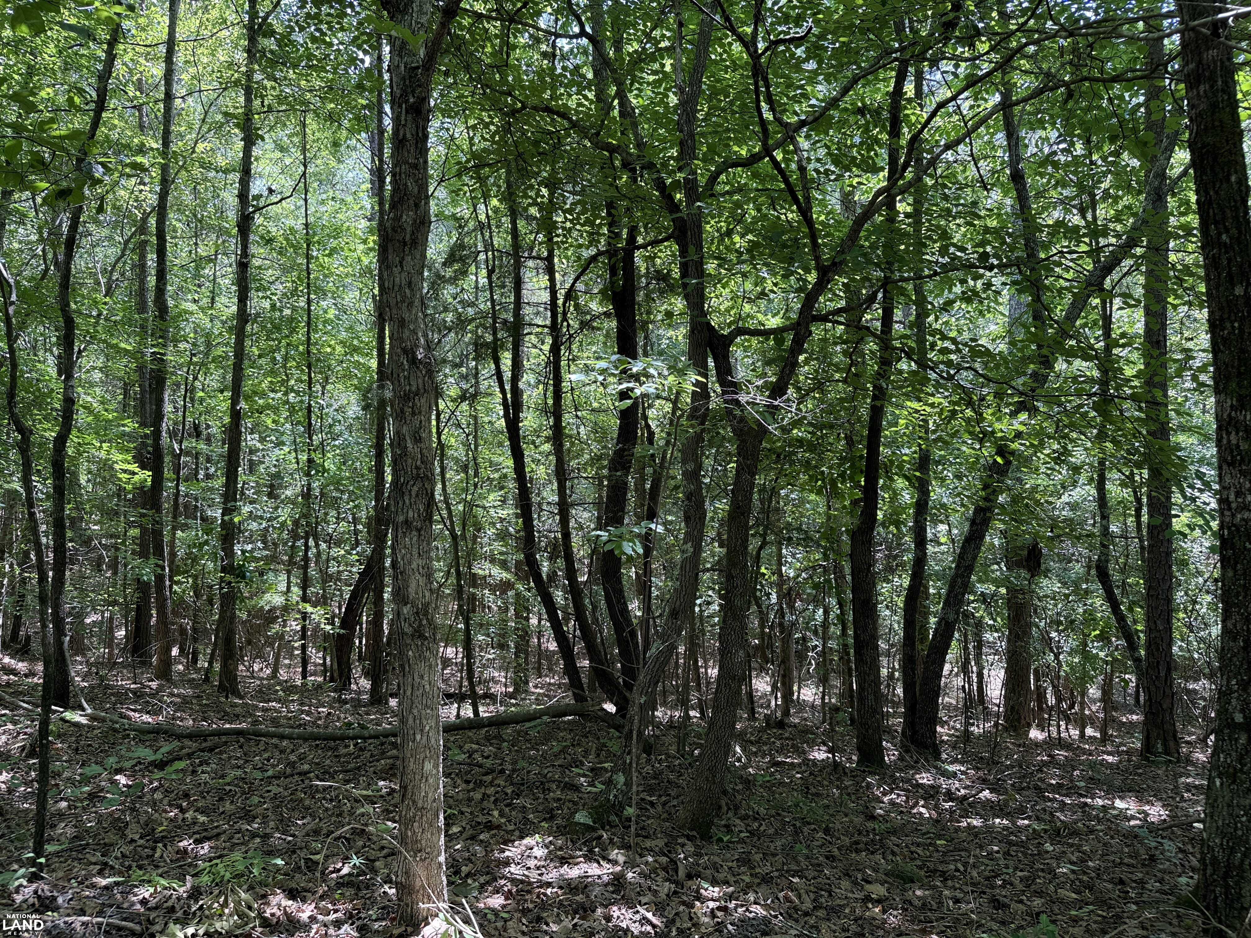 Detroit Hunting and Fish Camp in Lamar County, AL (23 of 31)