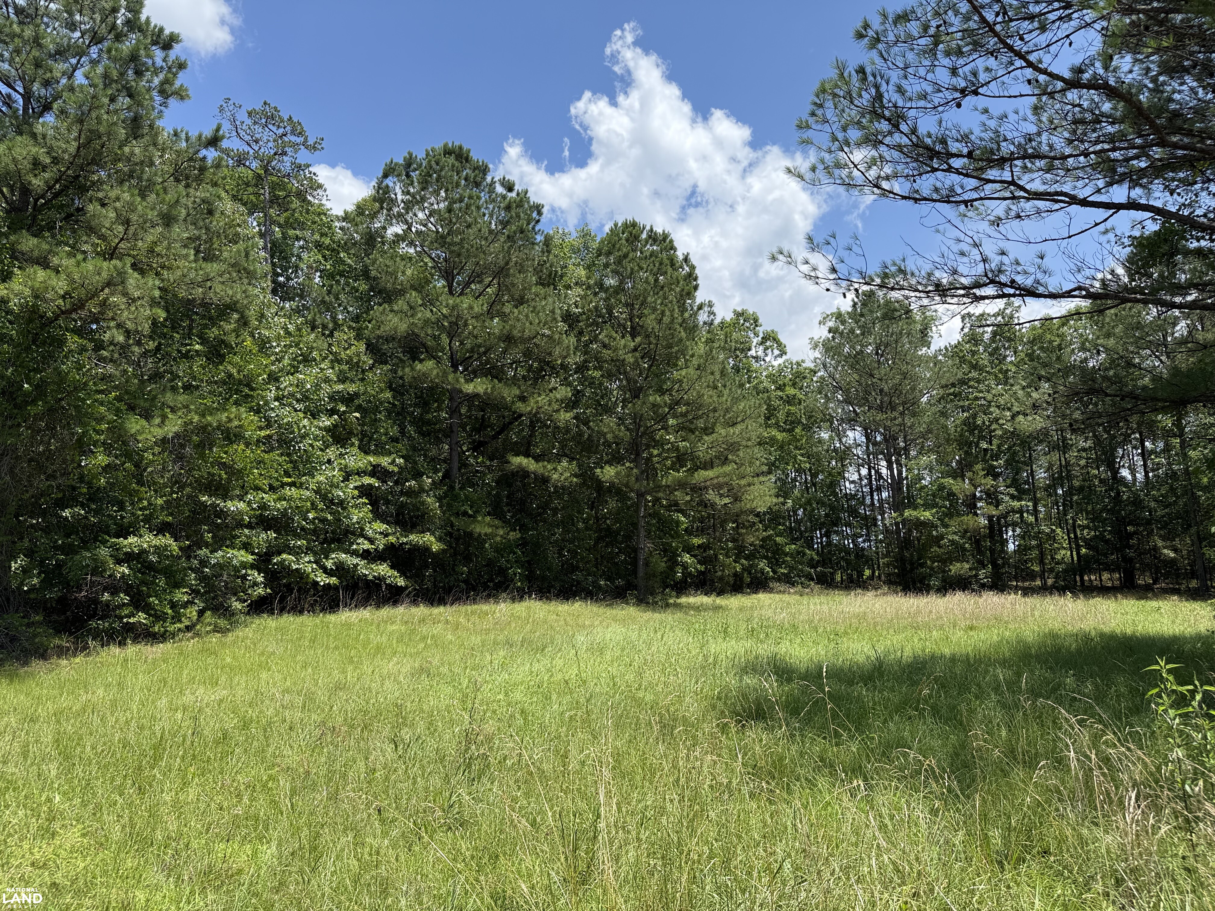 Detroit Hunting and Fish Camp in Lamar County, AL (3 of 31)