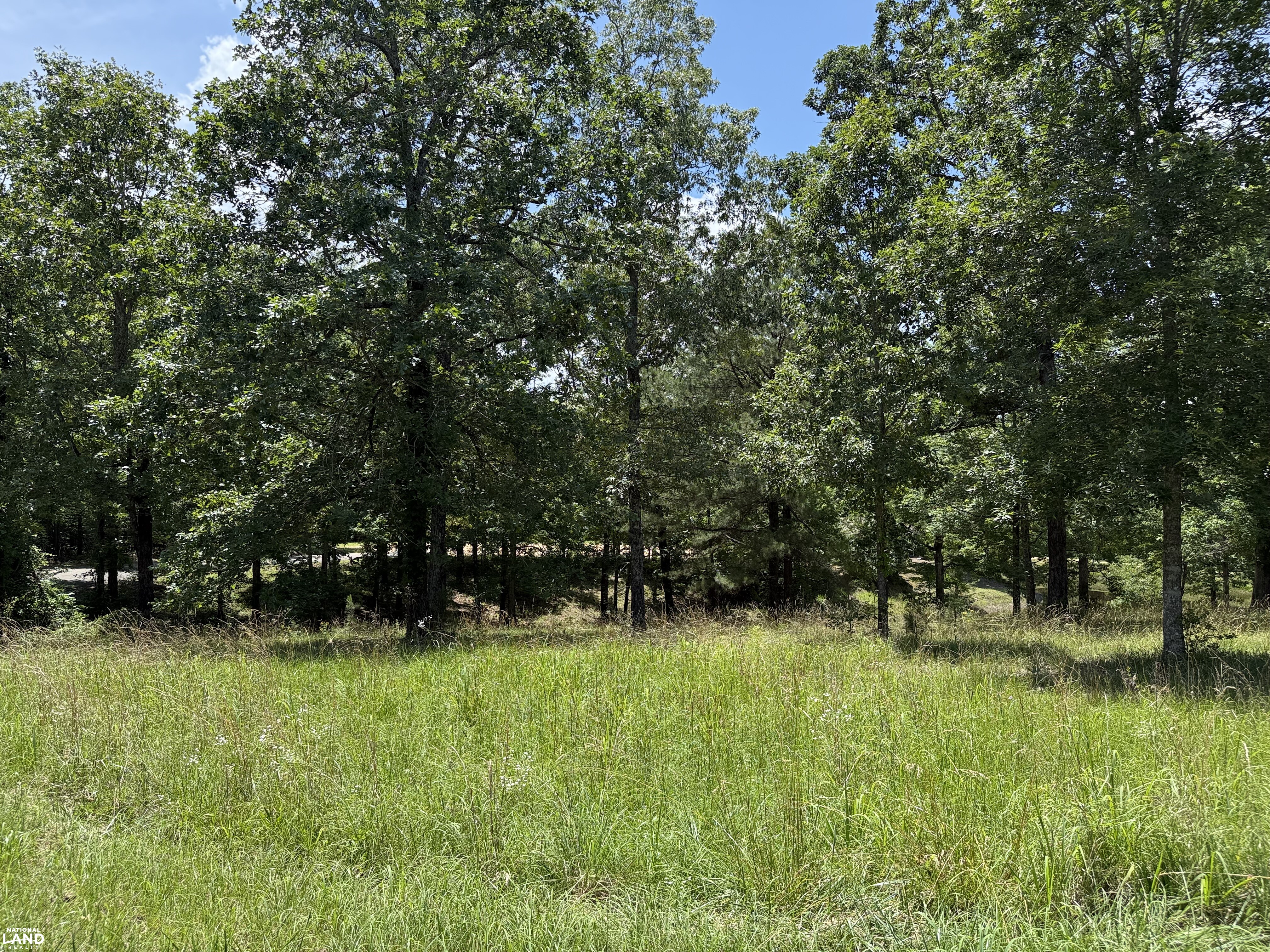 Detroit Hunting and Fish Camp in Lamar County, AL (29 of 31)