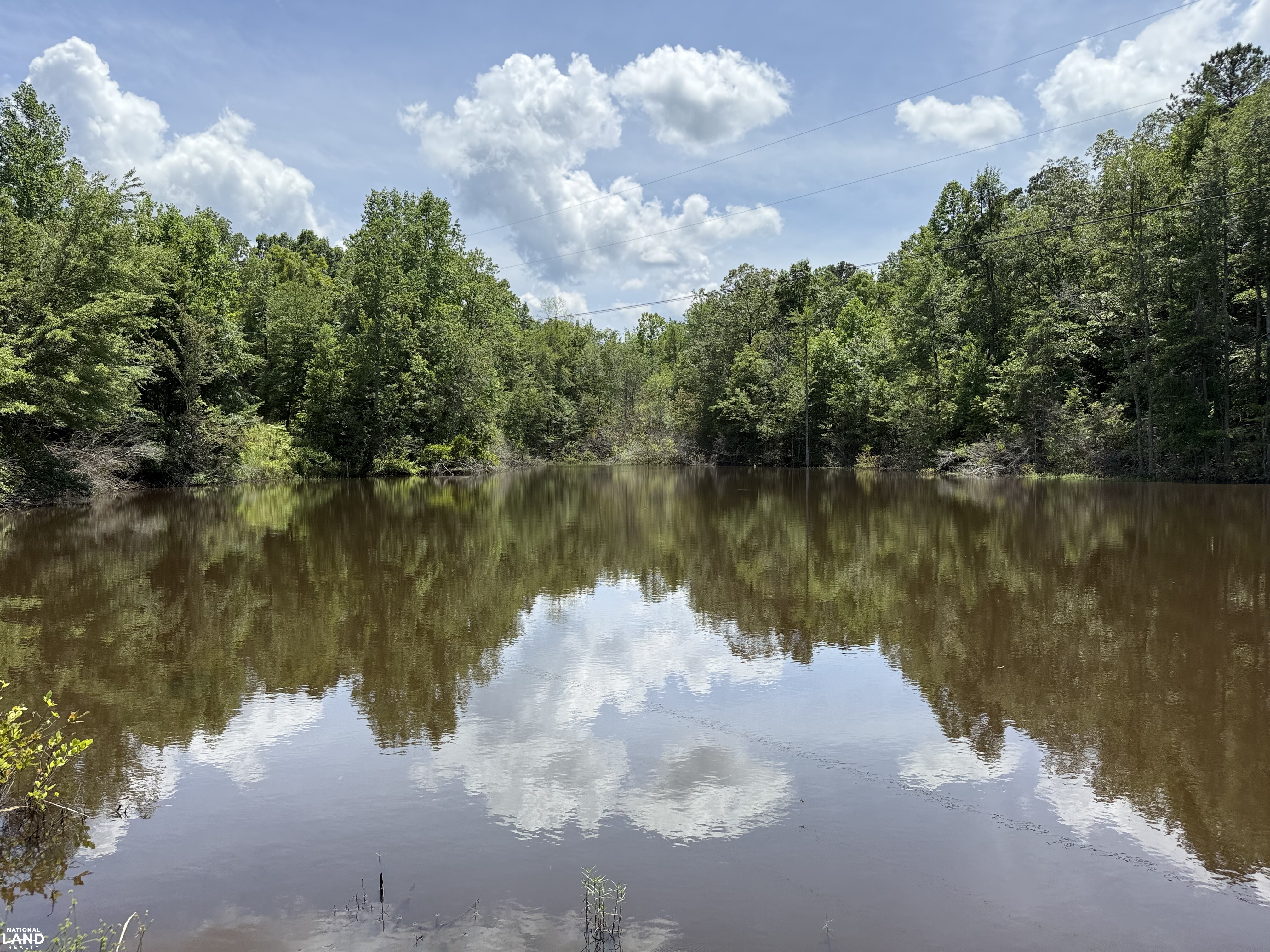Detroit Hunting and Fish Camp in Lamar County, AL (1 of 31)
